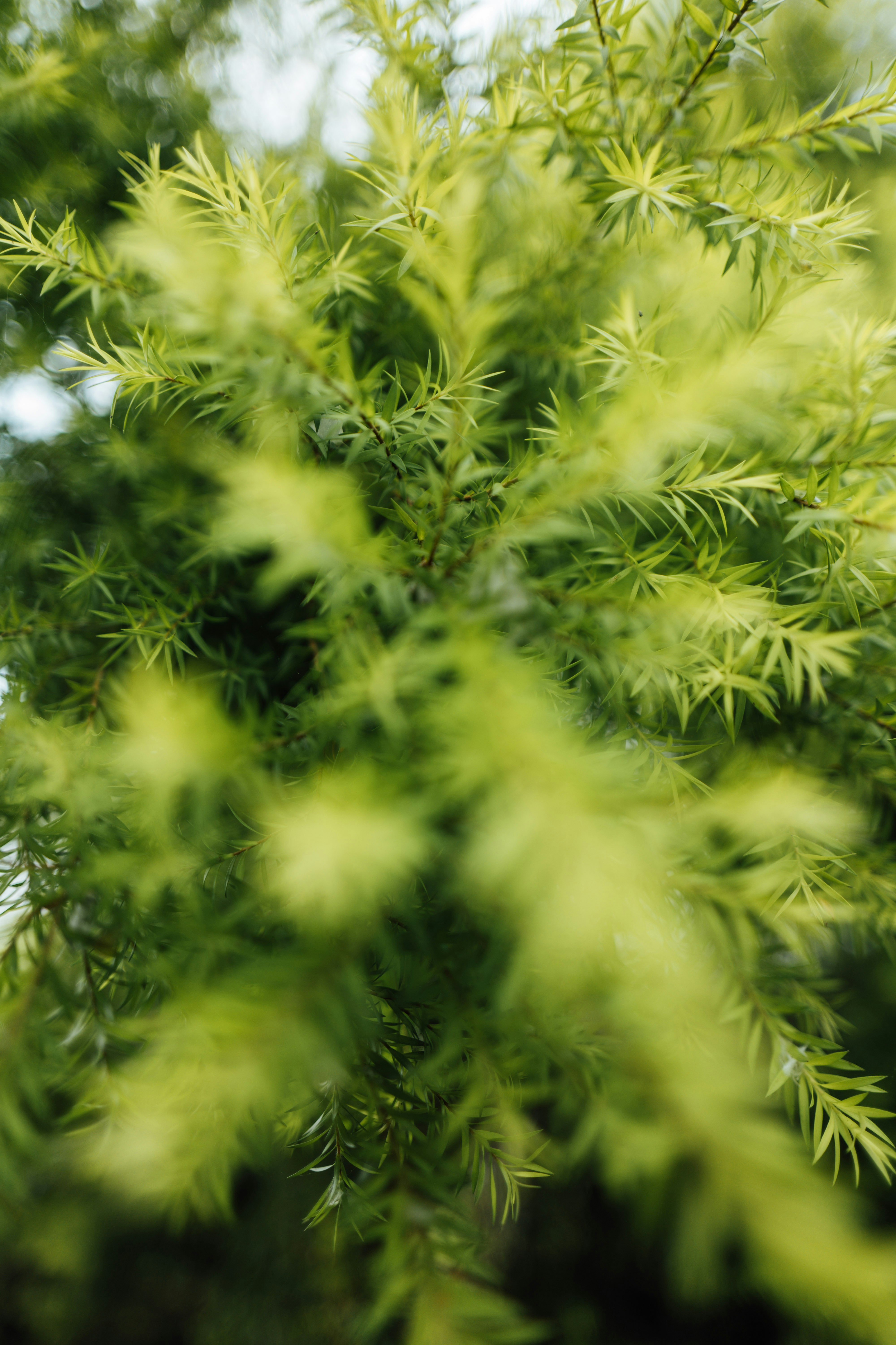 Photo by chuttersnap