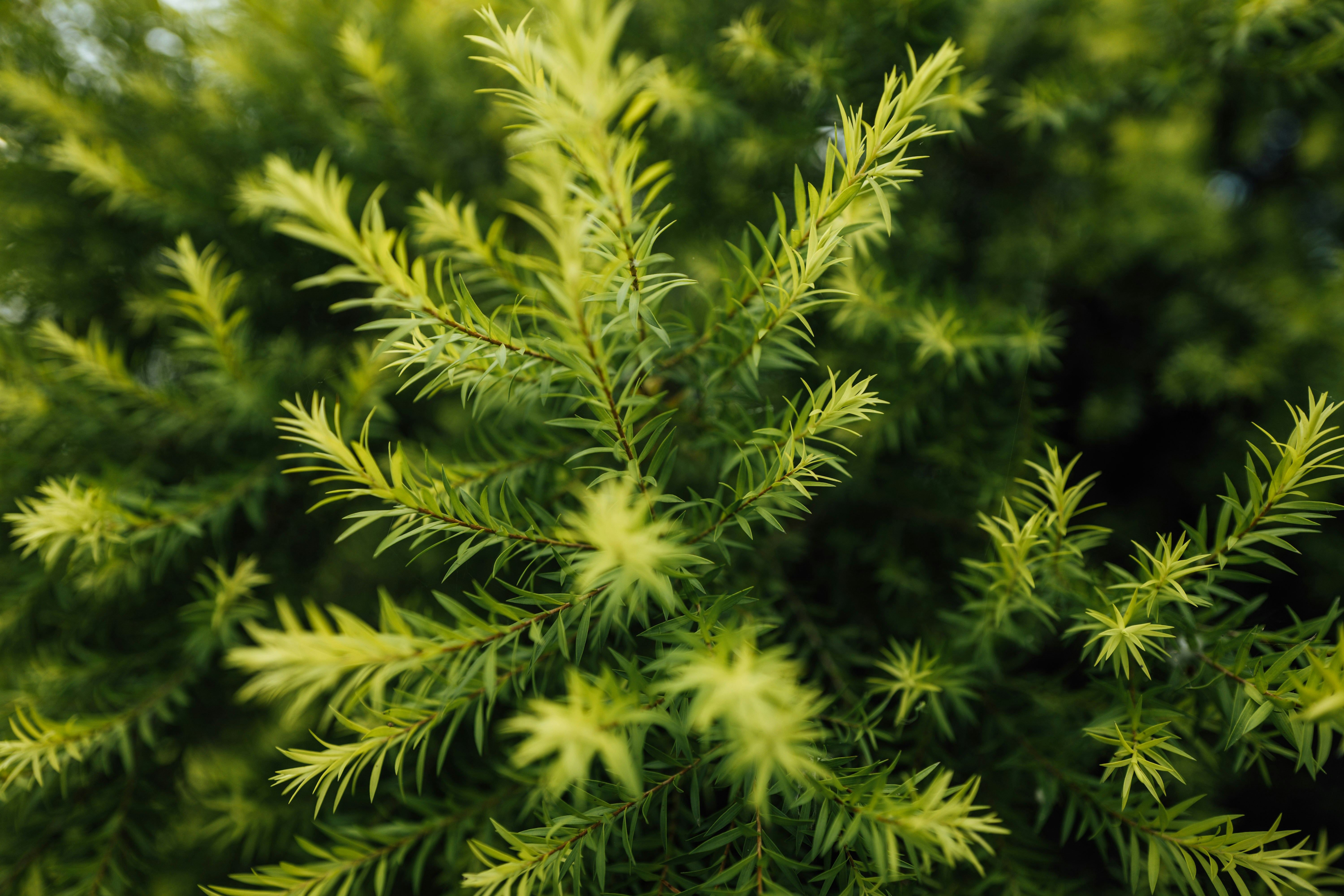 Photo by chuttersnap