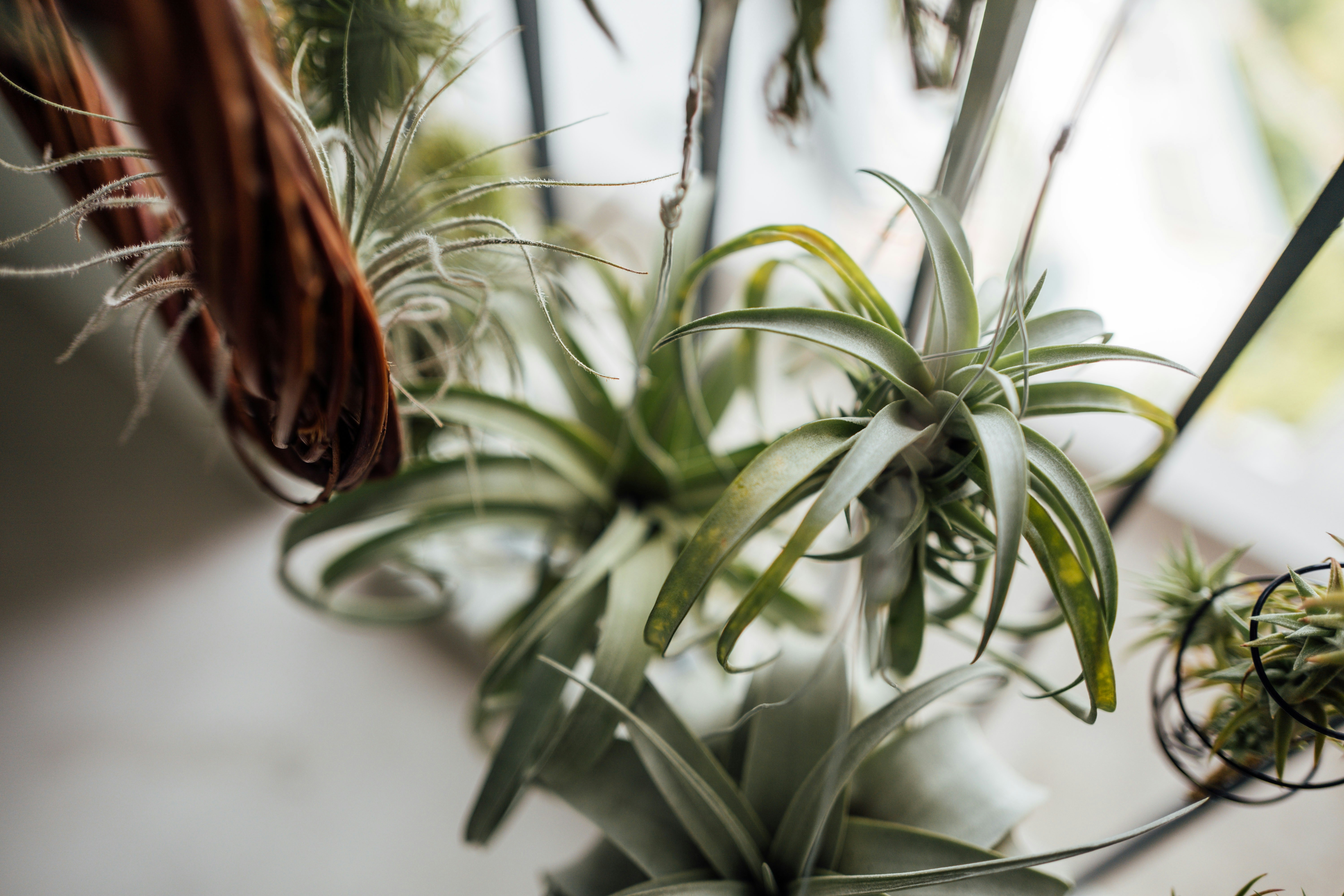 Photo by chuttersnap