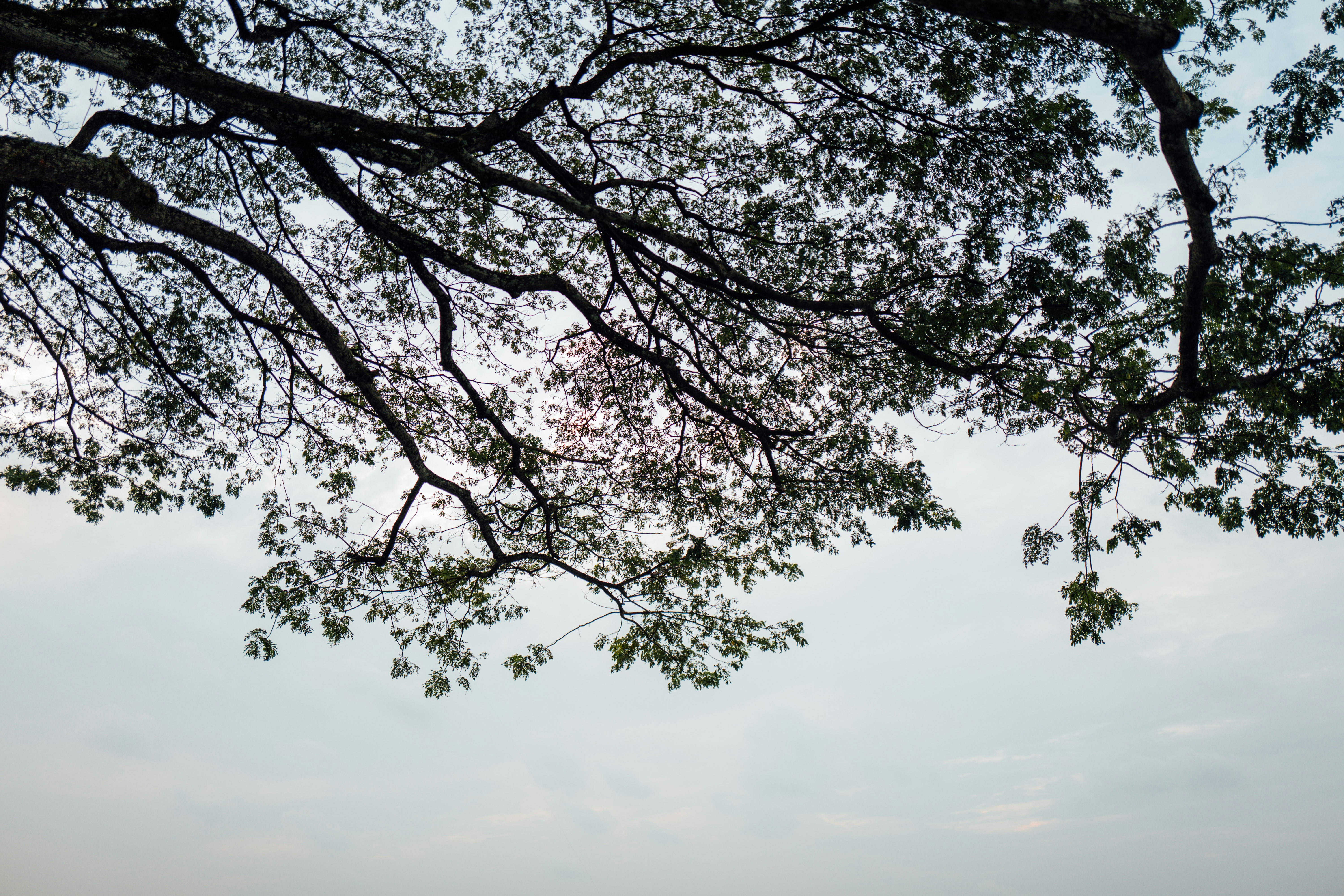 Photo by chuttersnap