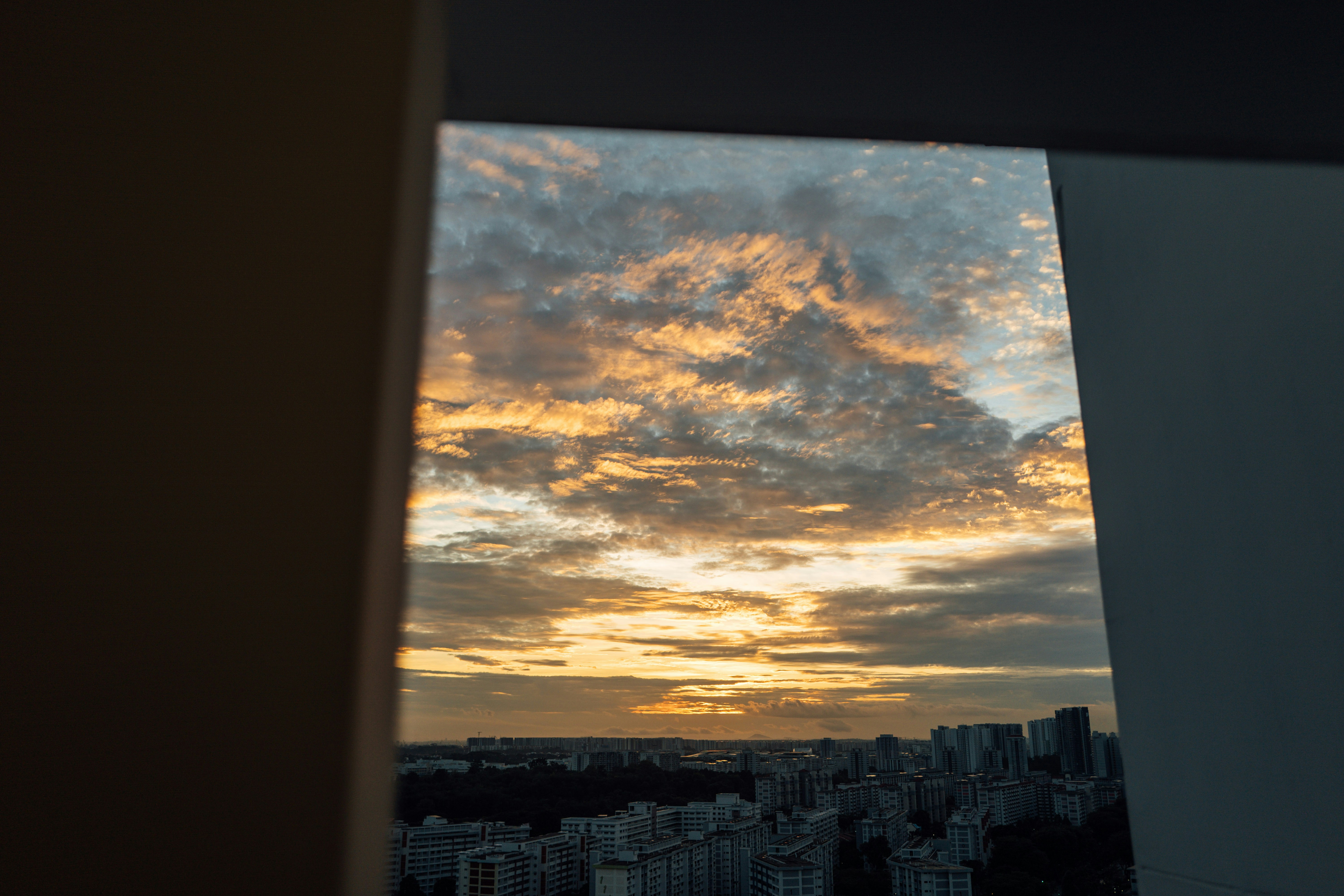 Photo by chuttersnap