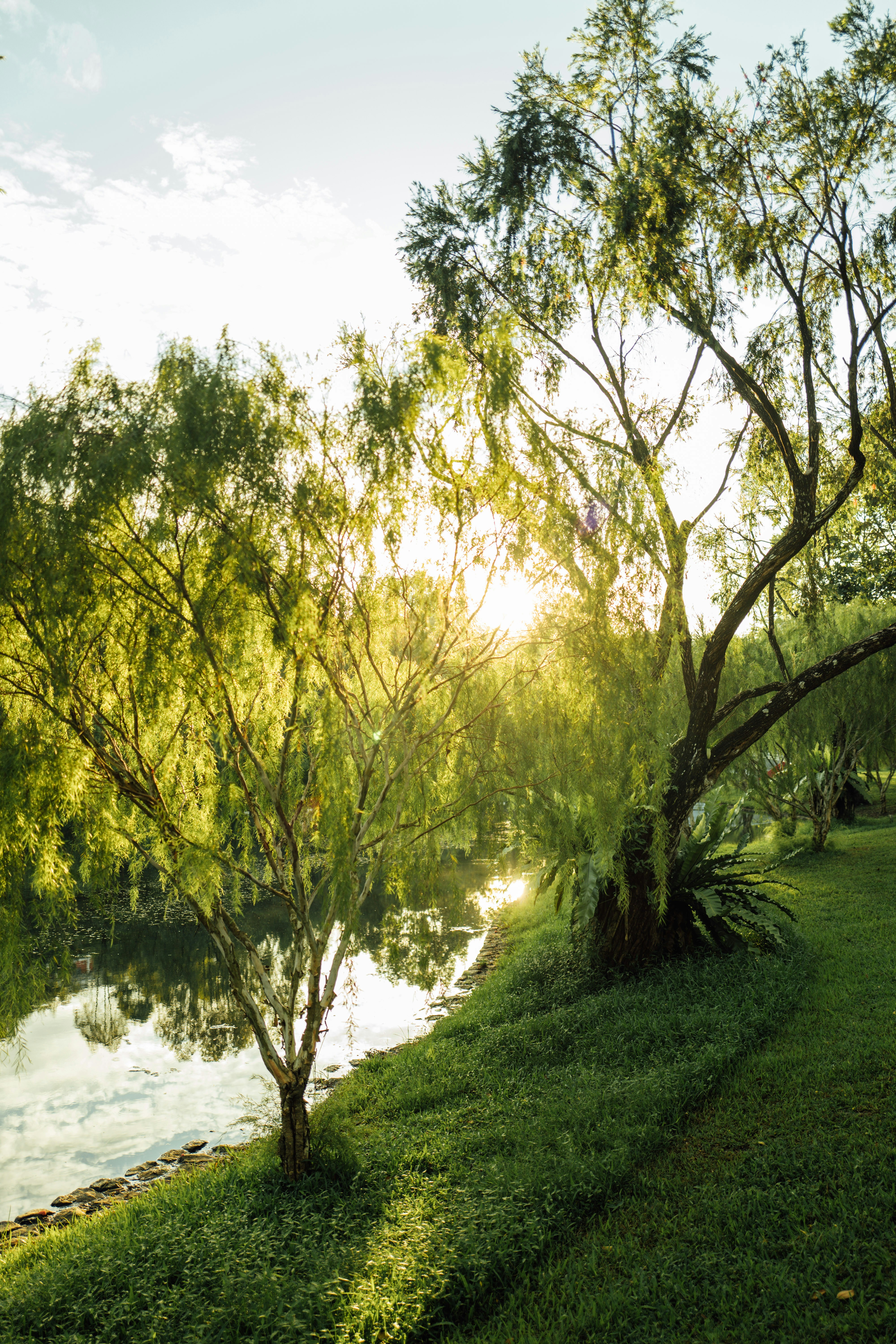 Photo by chuttersnap