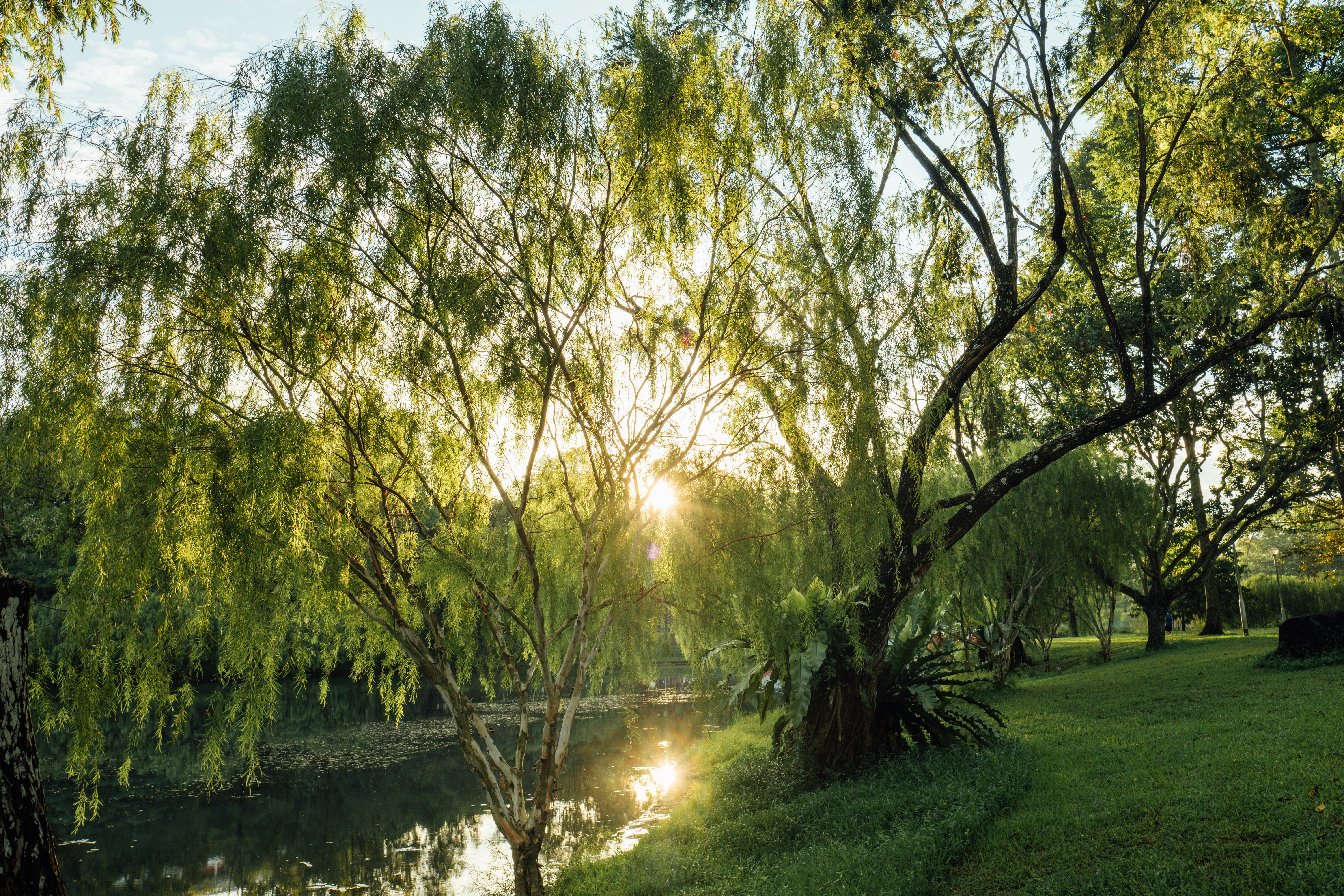 Photo by chuttersnap