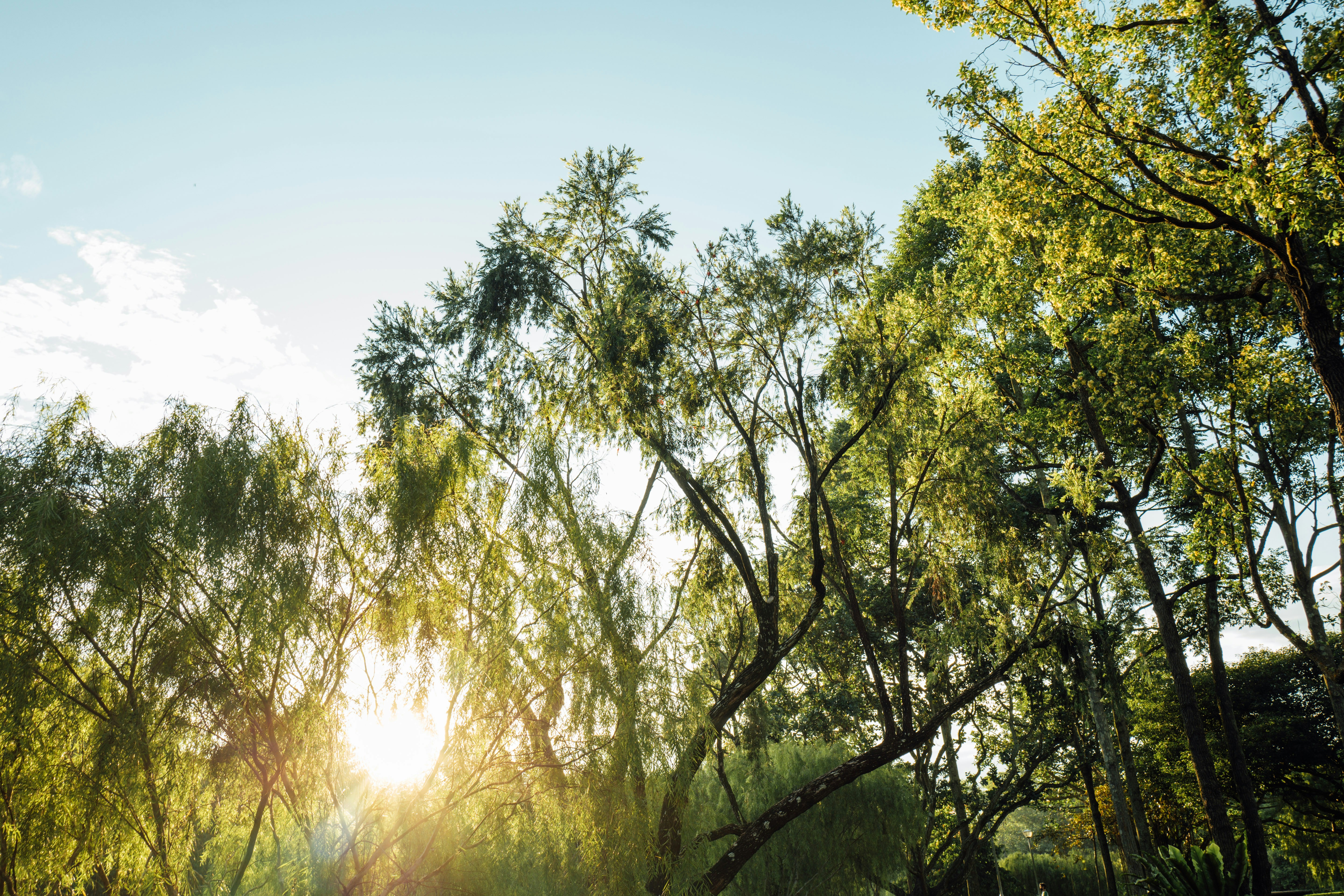 Photo by chuttersnap