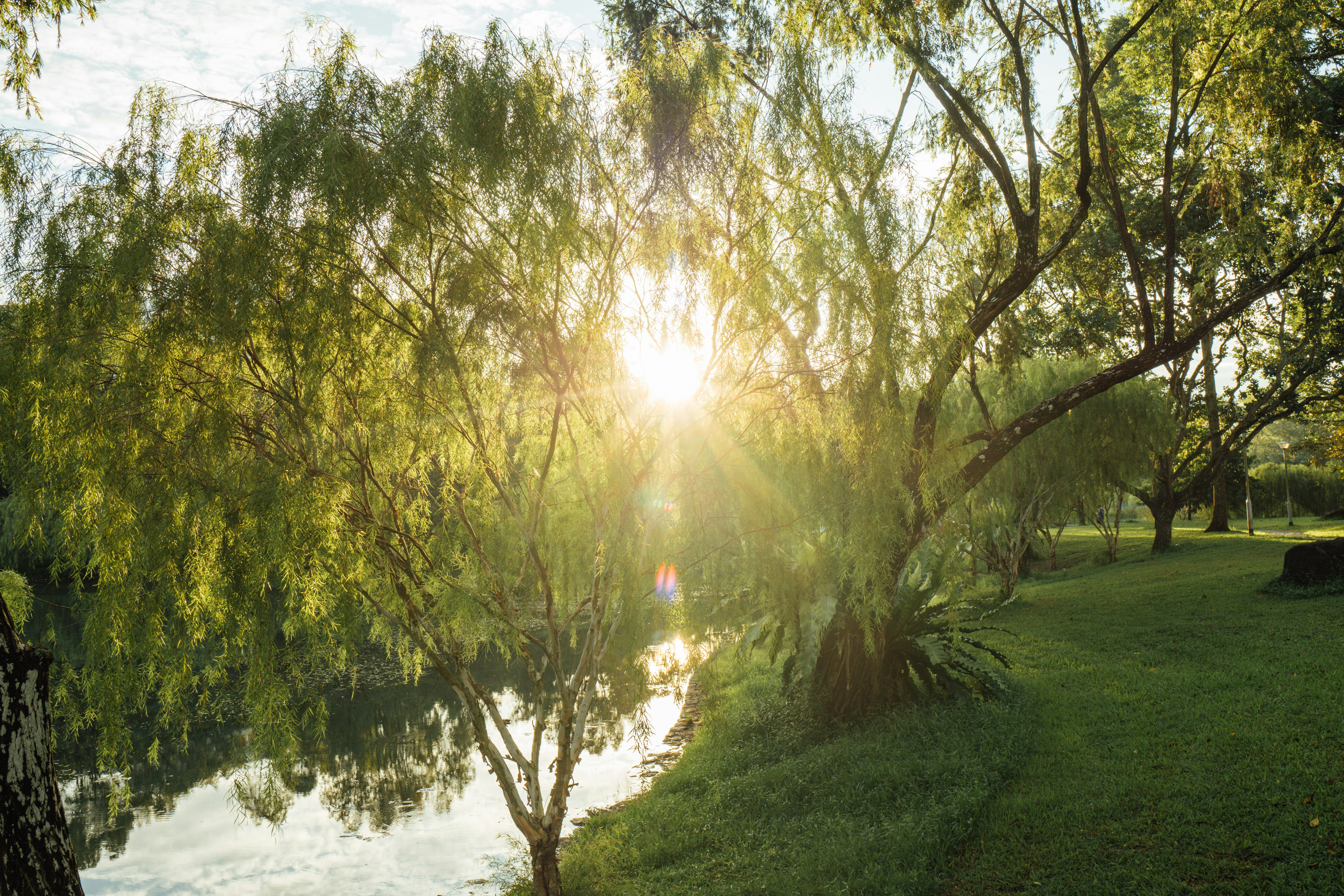 Photo by chuttersnap