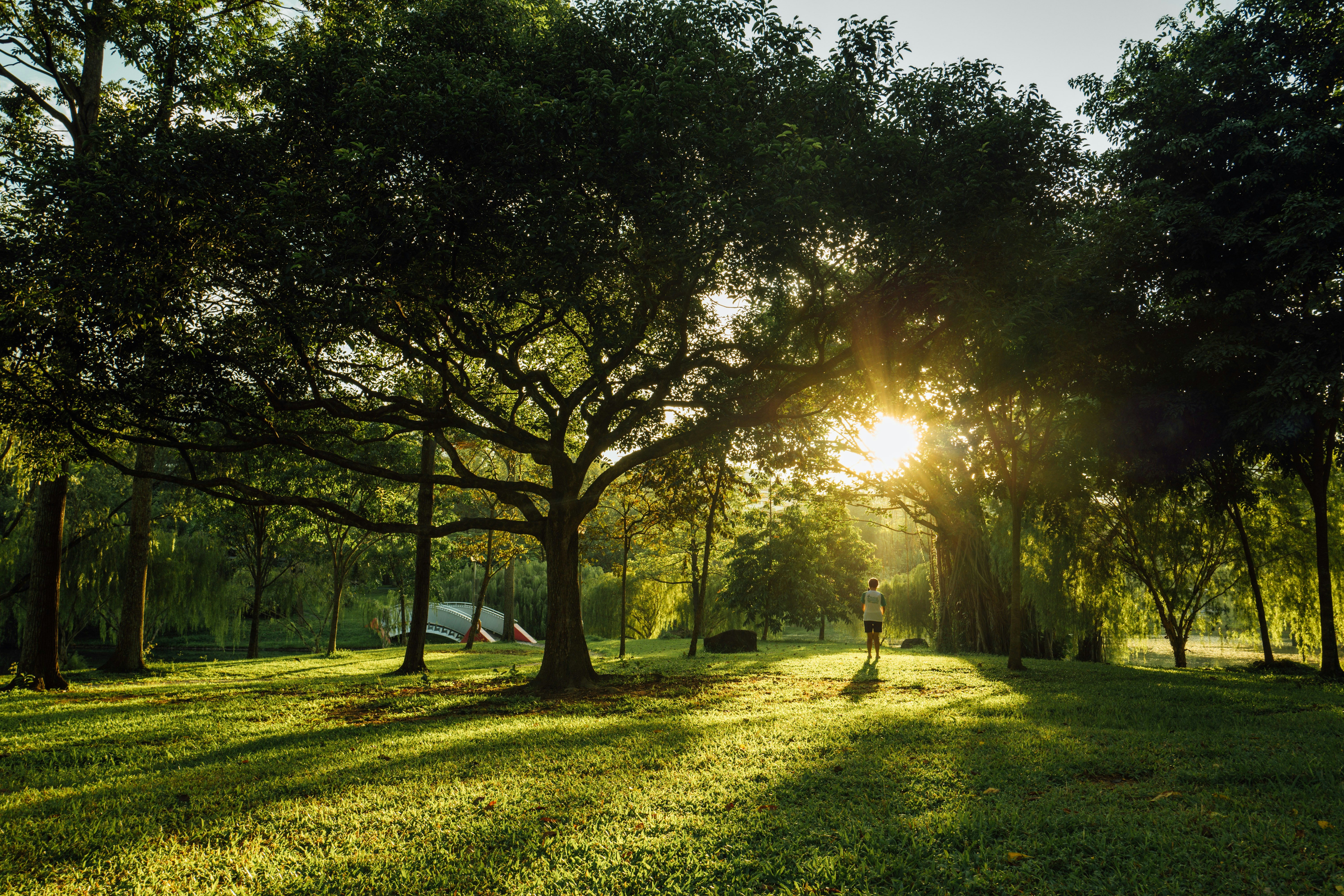 Photo by chuttersnap