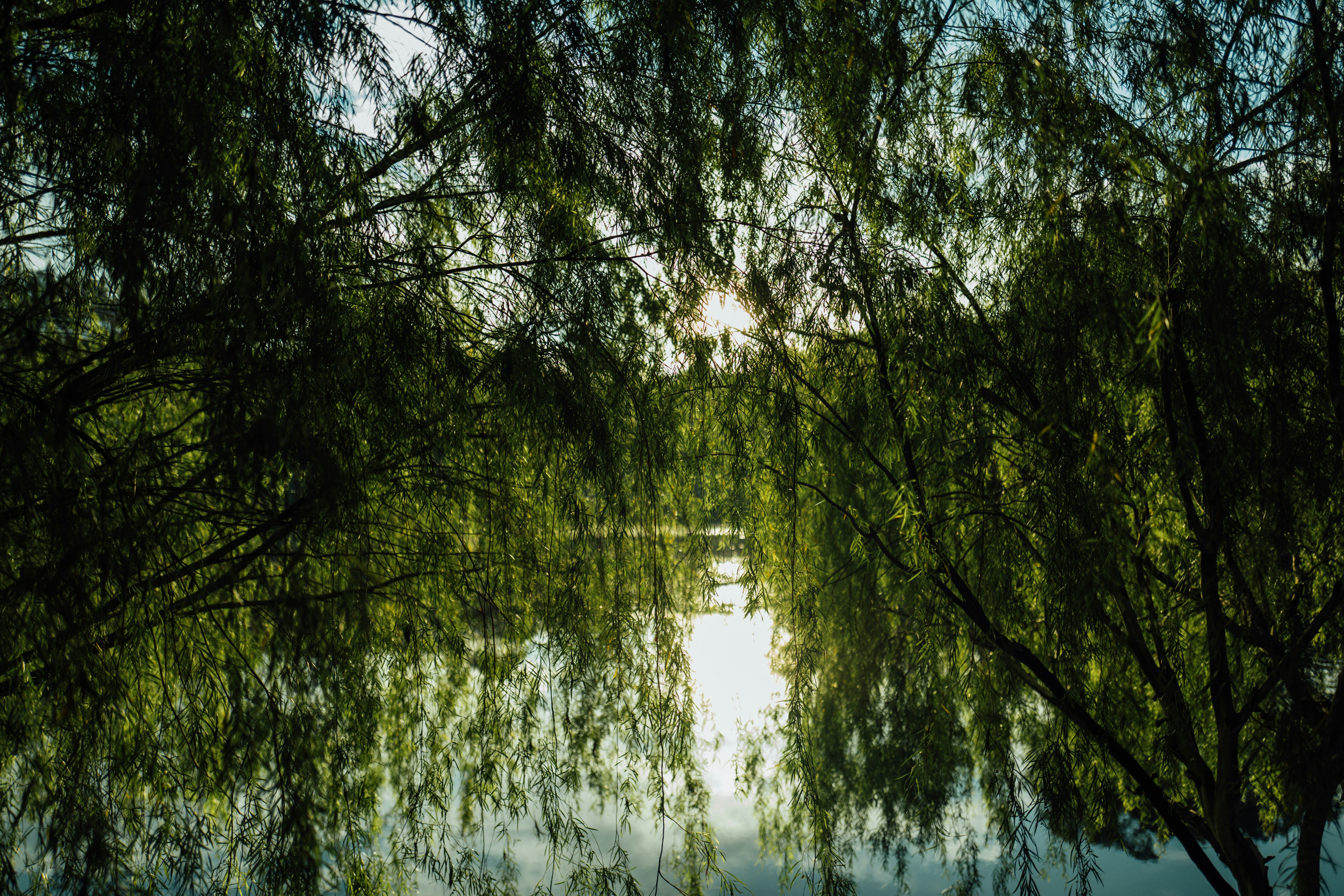 Photo by chuttersnap