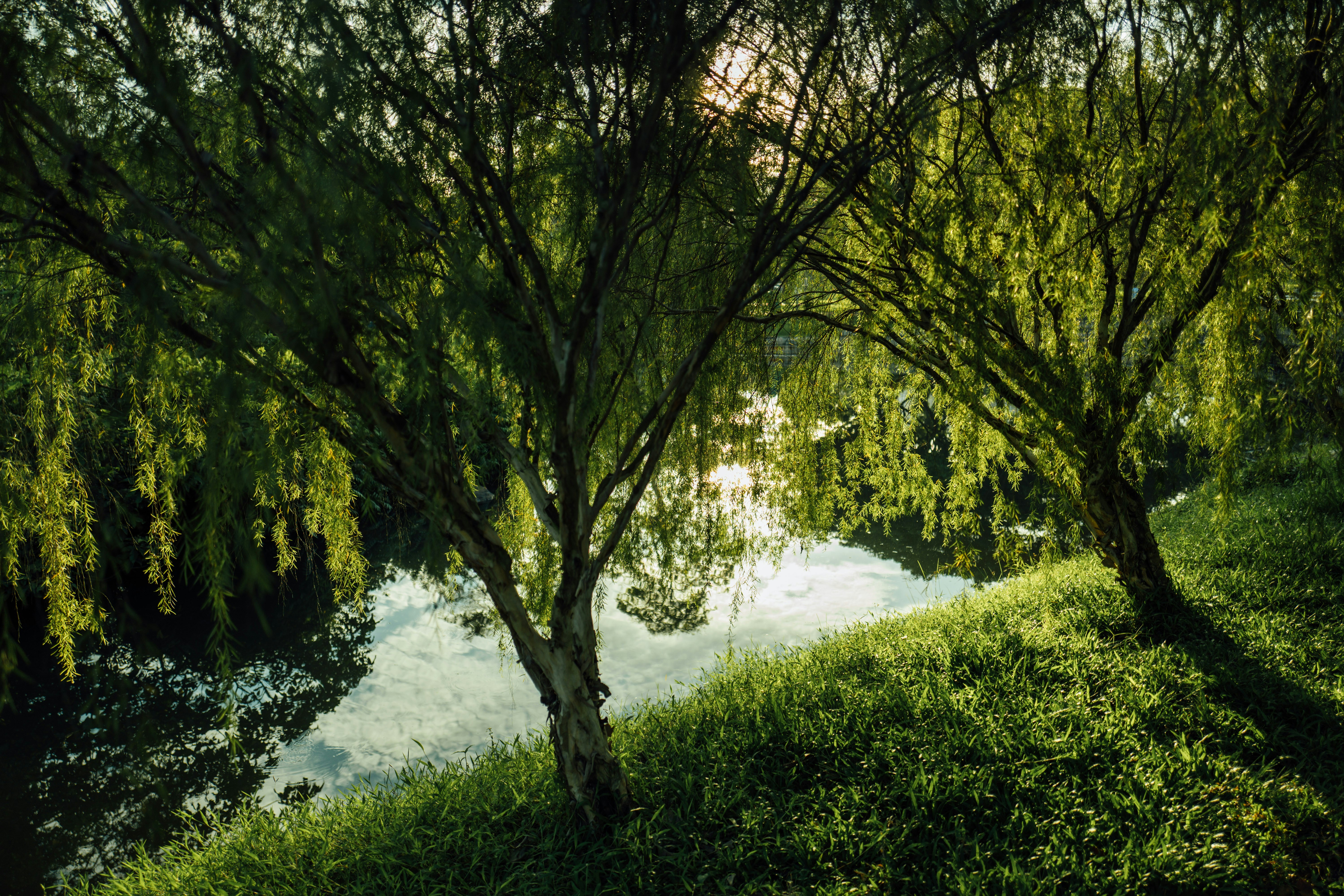 Photo by chuttersnap