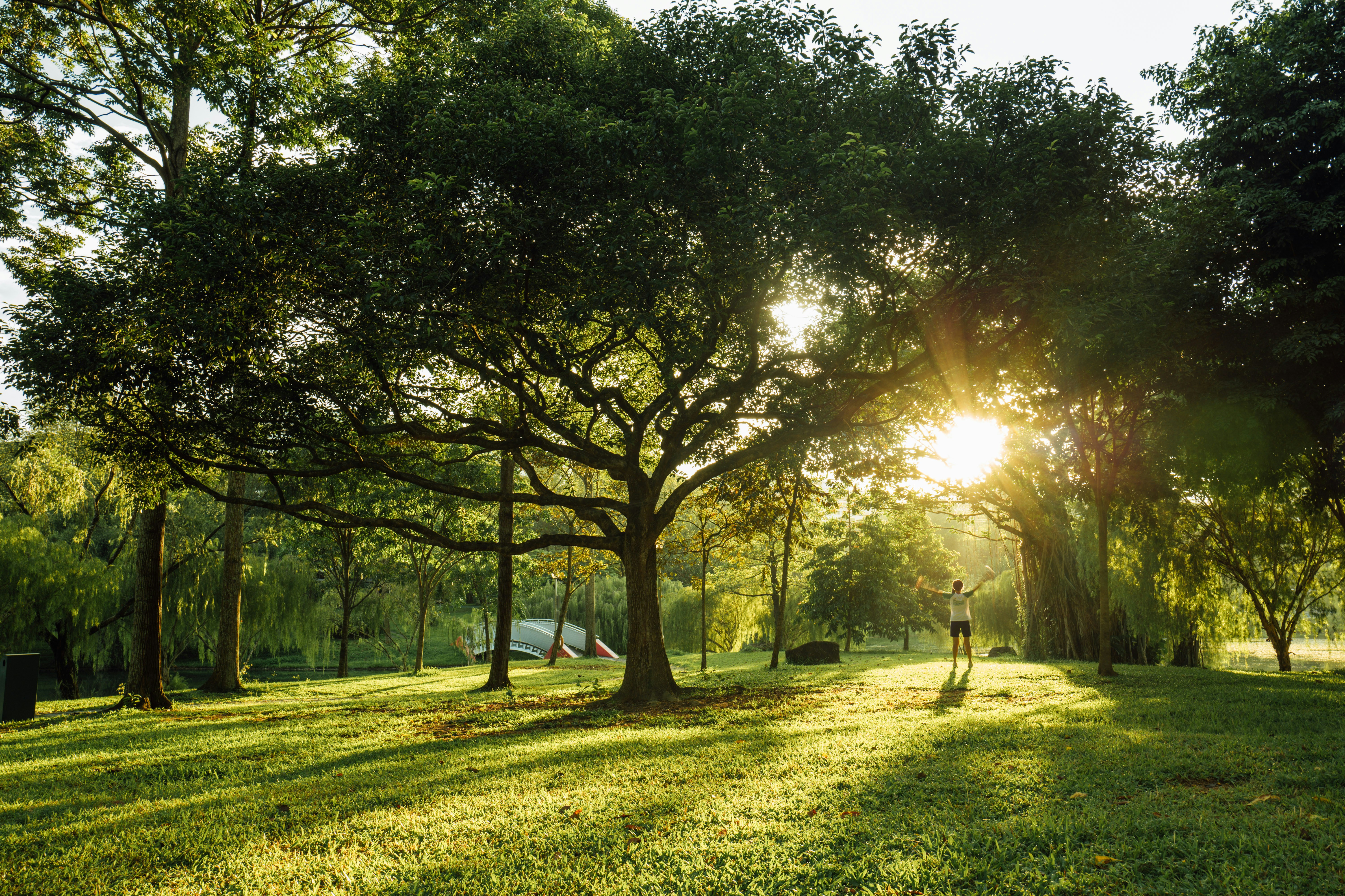 Photo by chuttersnap