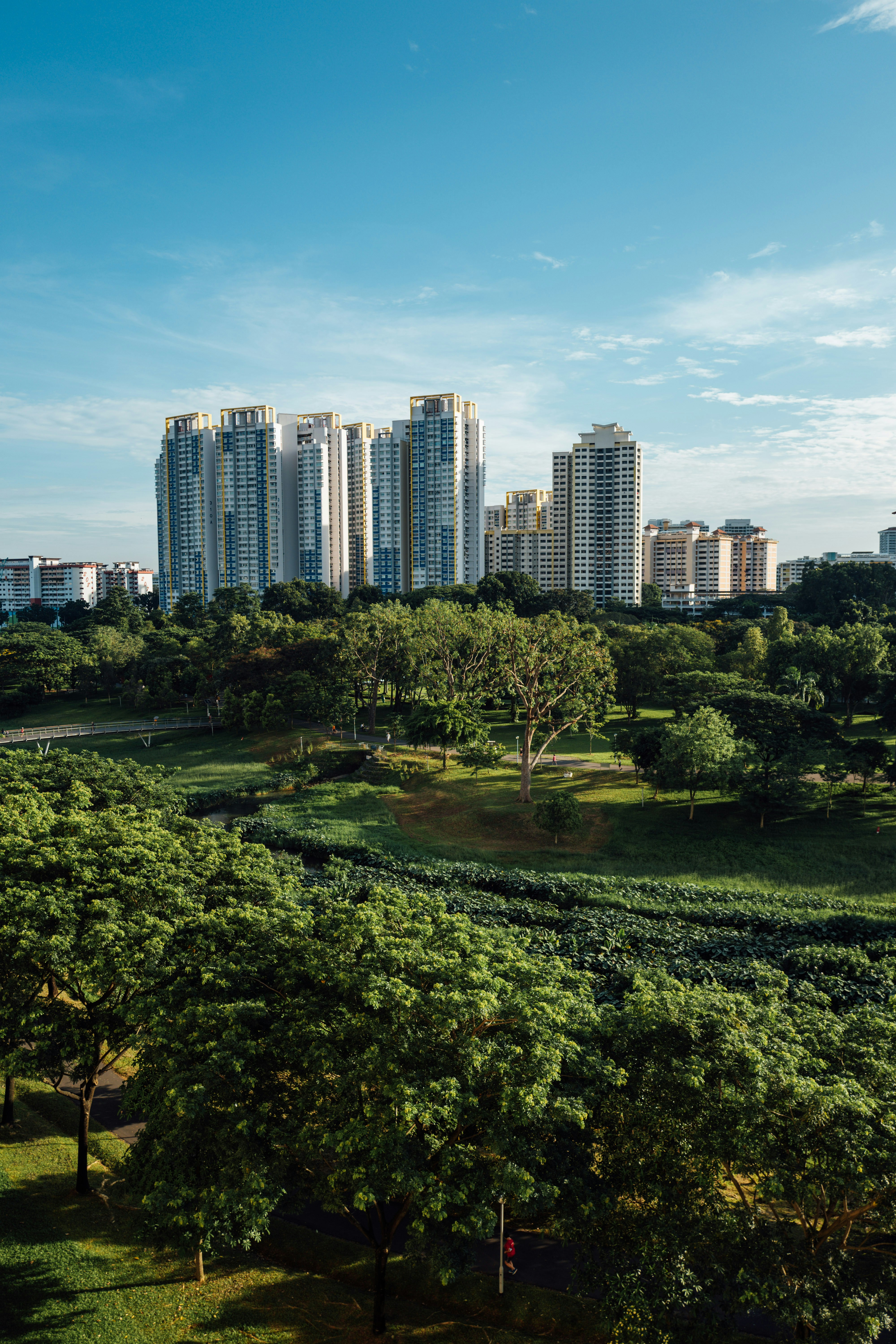 Photo by chuttersnap