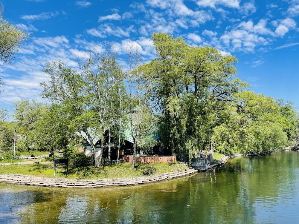 green trees beside river under blue sky during daytime