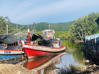 A serene waterfront scene with several small fishing boats docked along a calm river. The boats are colorful, with prominent red and blue hues, and are equipped with black tarps. Surrounding the waterway is lush greenery, including dense trees and verdant hills in the background, under a clear, blue sky.