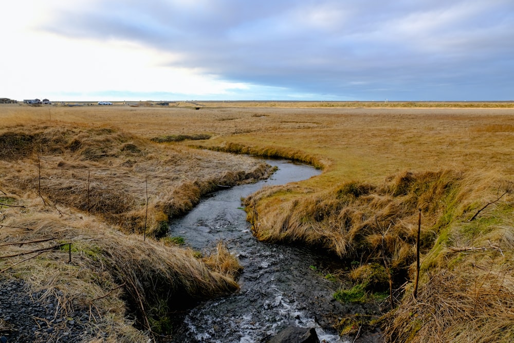 green grass field near river under white clouds during daytime