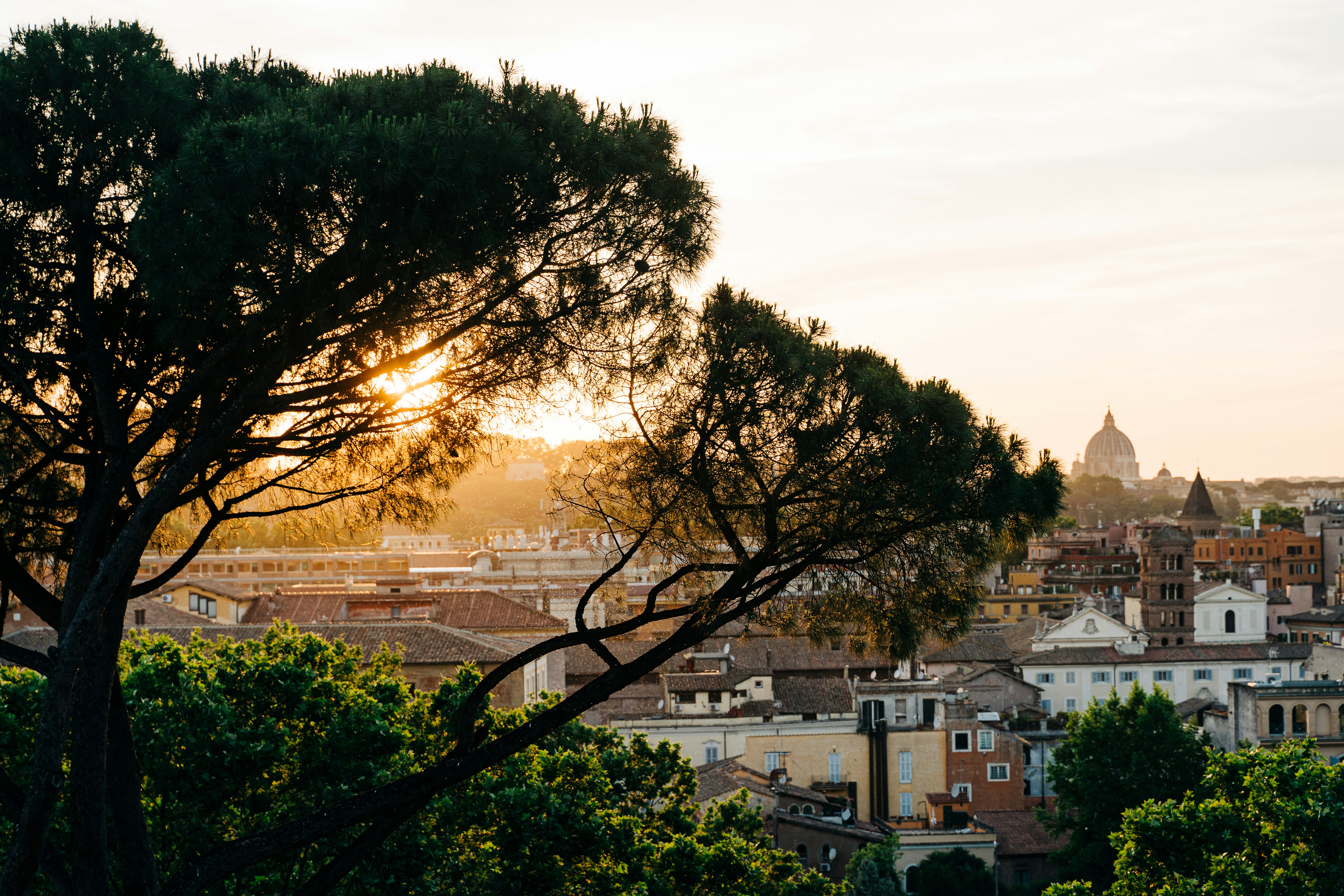 a view of a city from a hill