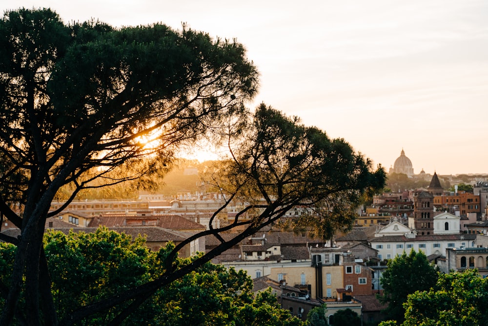 a view of a city from a hill