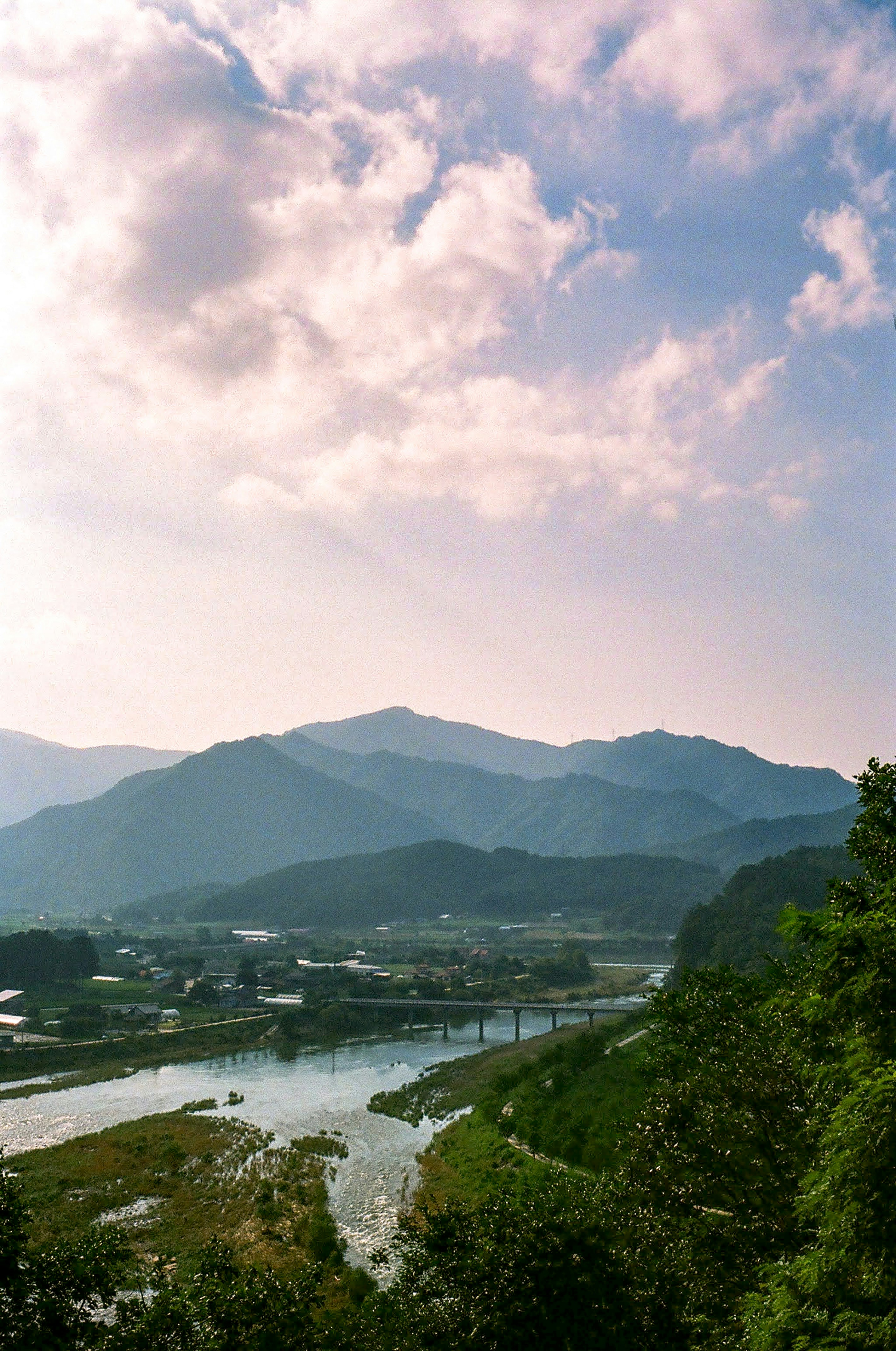 green trees near body of water under white clouds during daytime