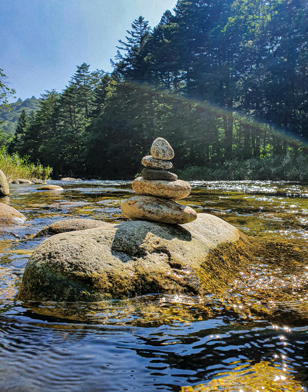 brown rocks on river during daytime