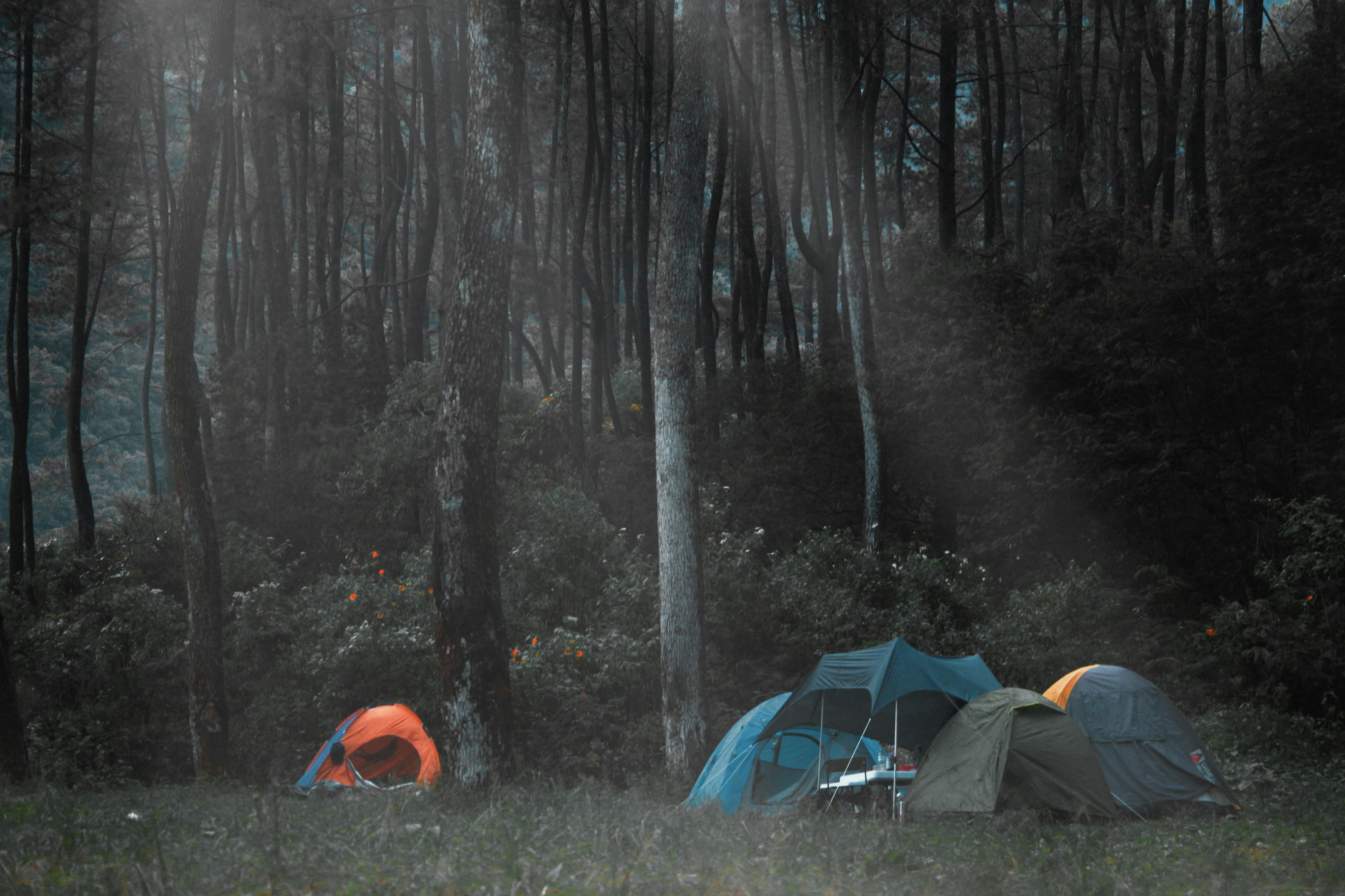 Rainy tent forest forest, ilustrasi artikel Mastering the Storm: How to Stay Dry While Camping in the Rain 9