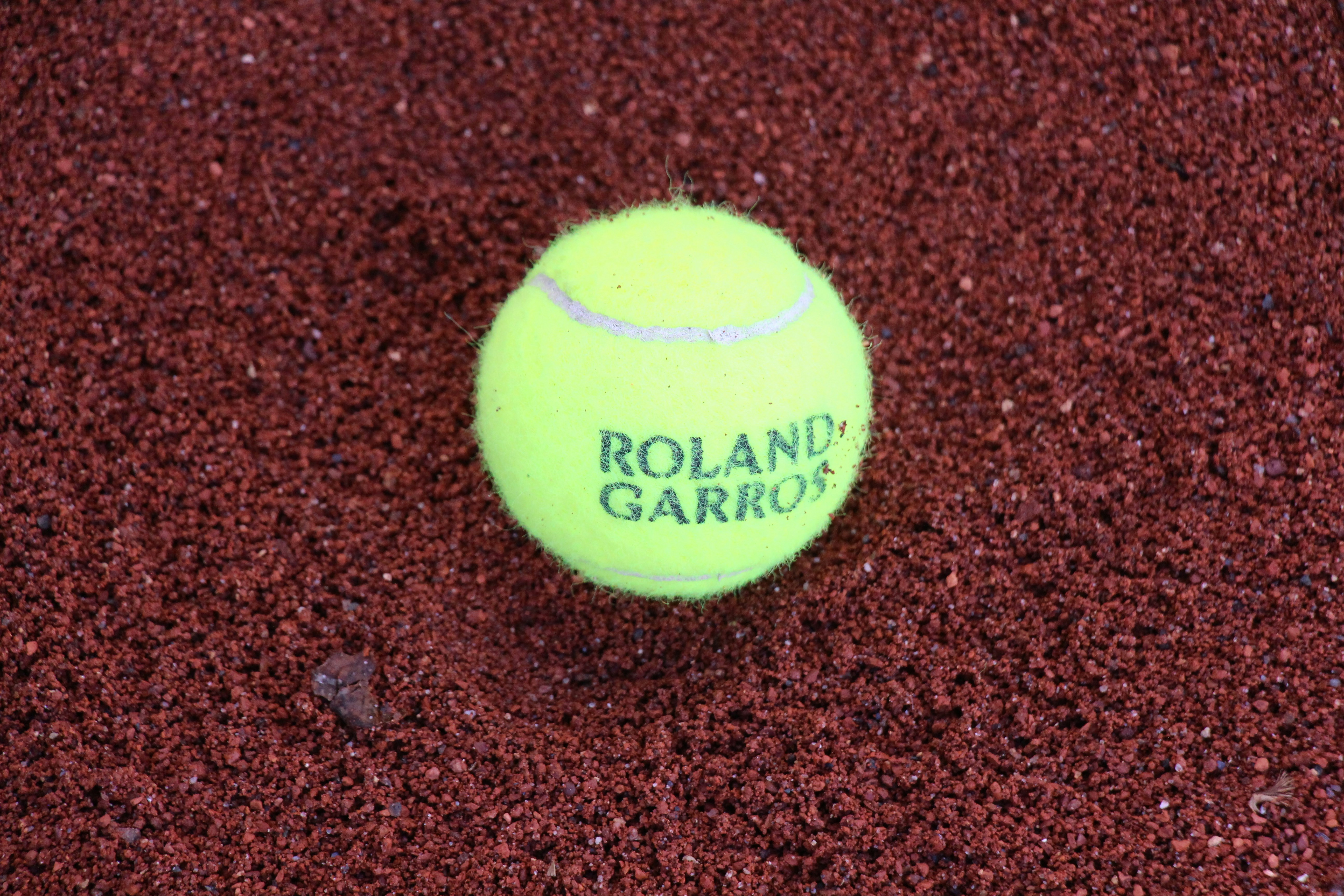 green tennis ball on brown and green textile