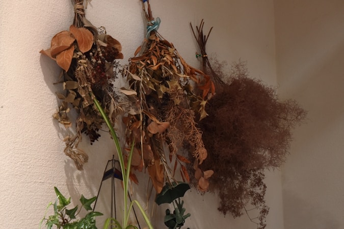 Astuces pour vendre vos plantes séchées avec succès