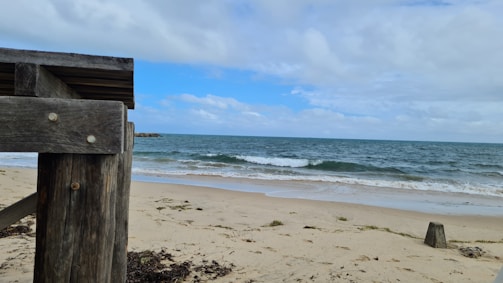 brown wooden post on beach during daytime