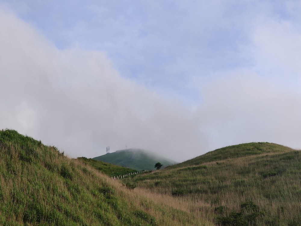 green grass field under white clouds