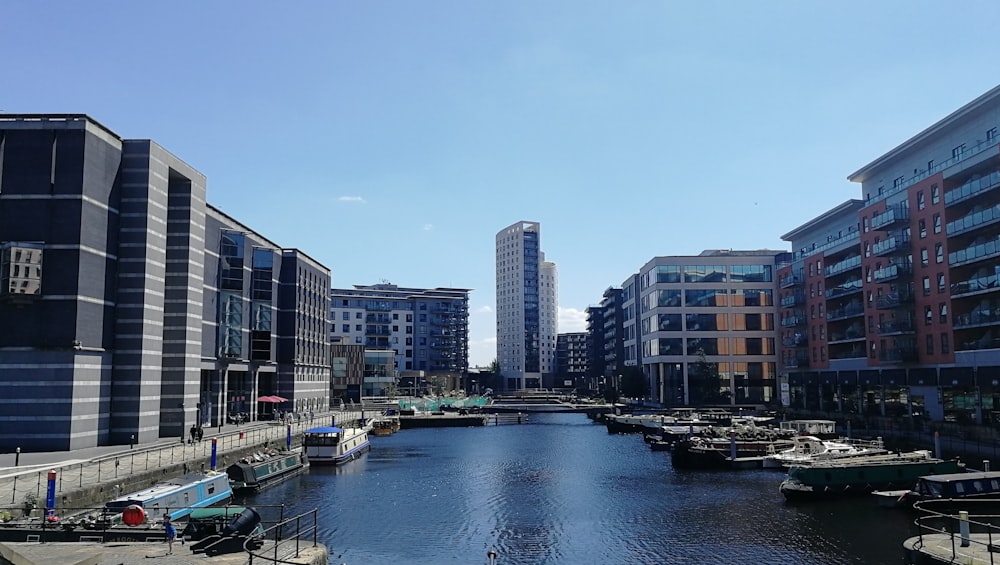 white and brown concrete building near body of water during daytime