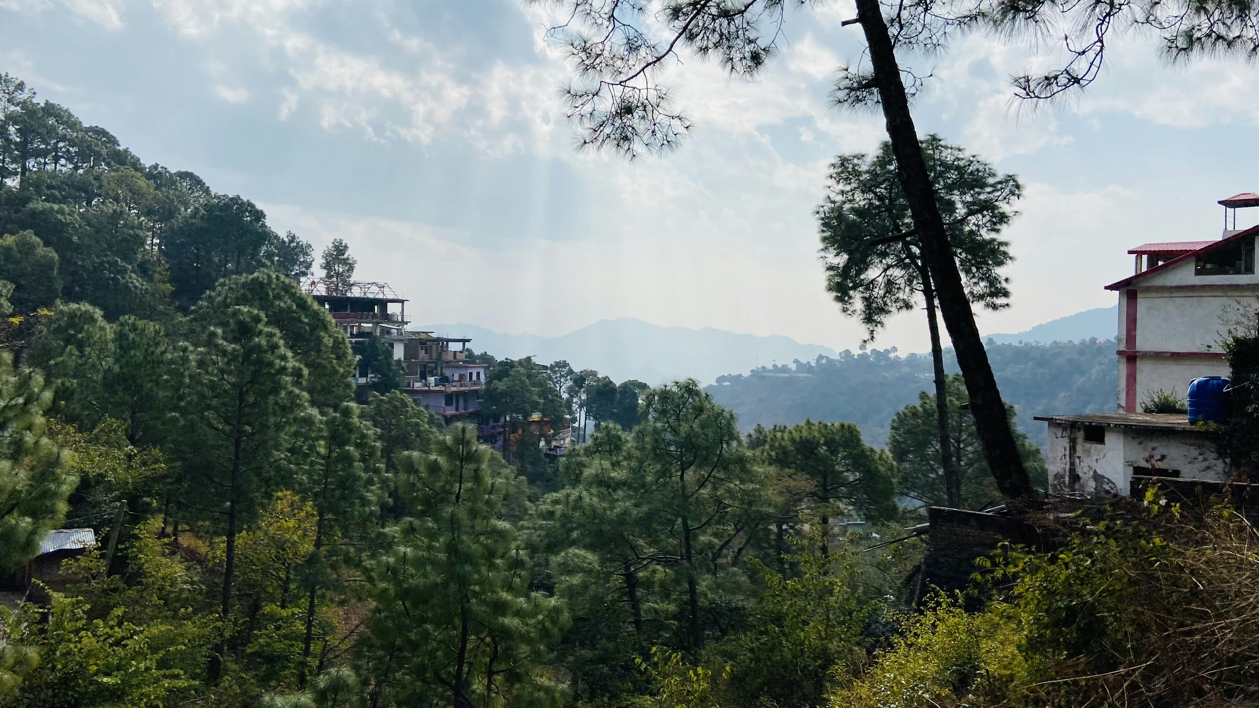 Photo by naturebyneha