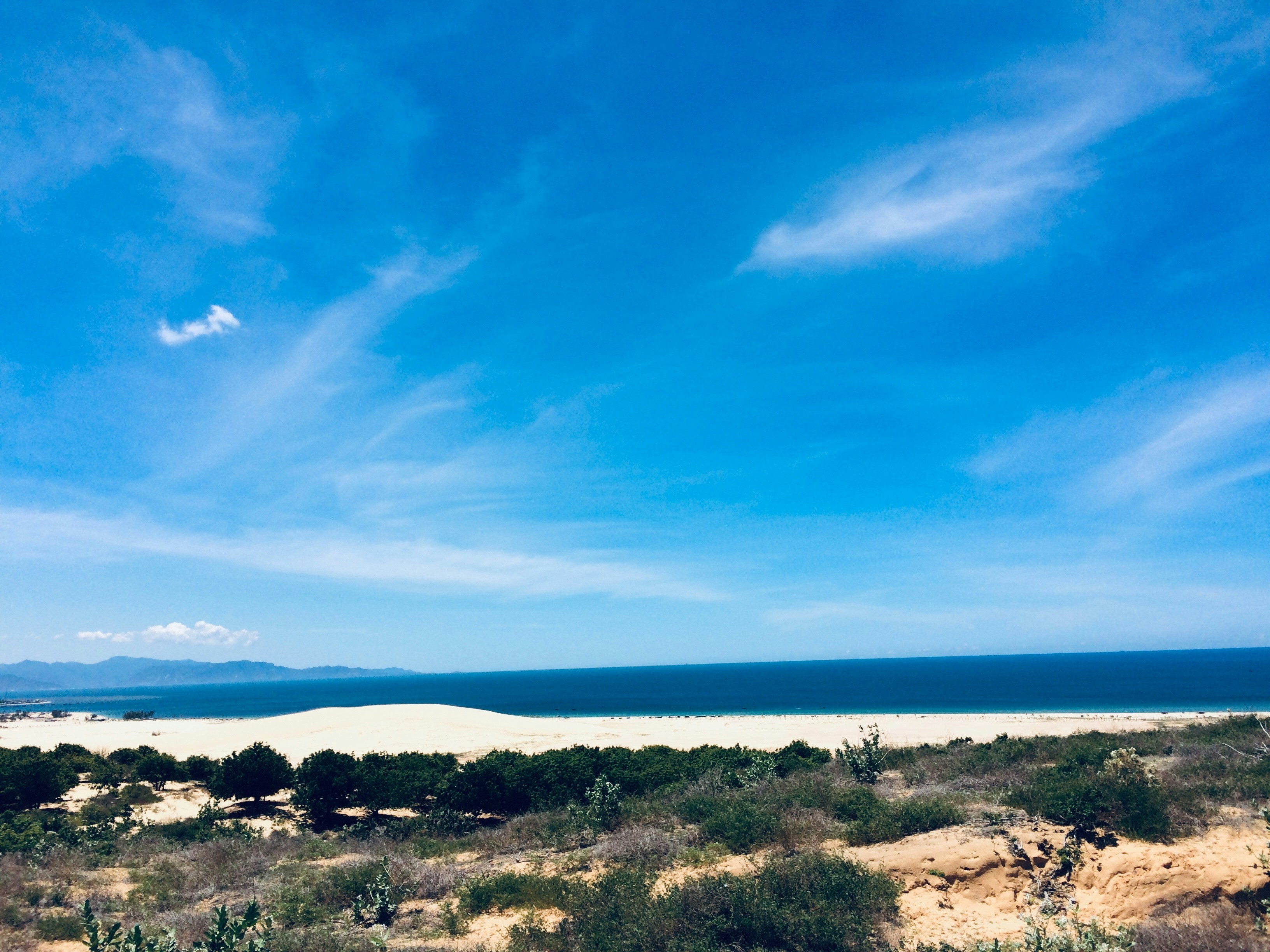 Photo by trantuannghia