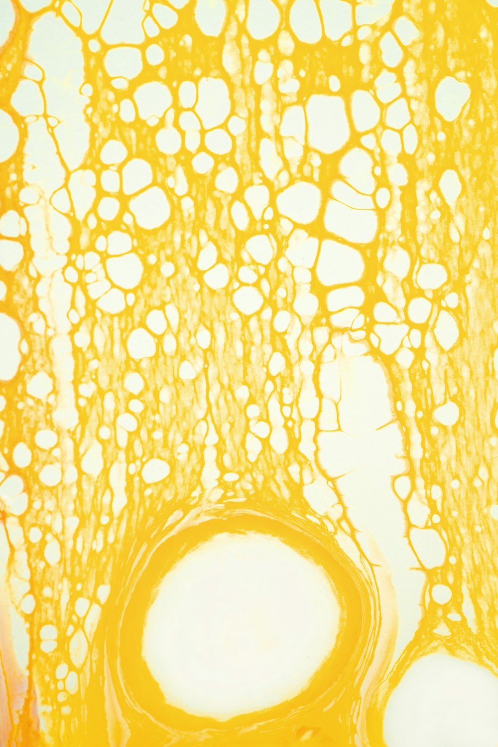 a close up view of a yellow substance