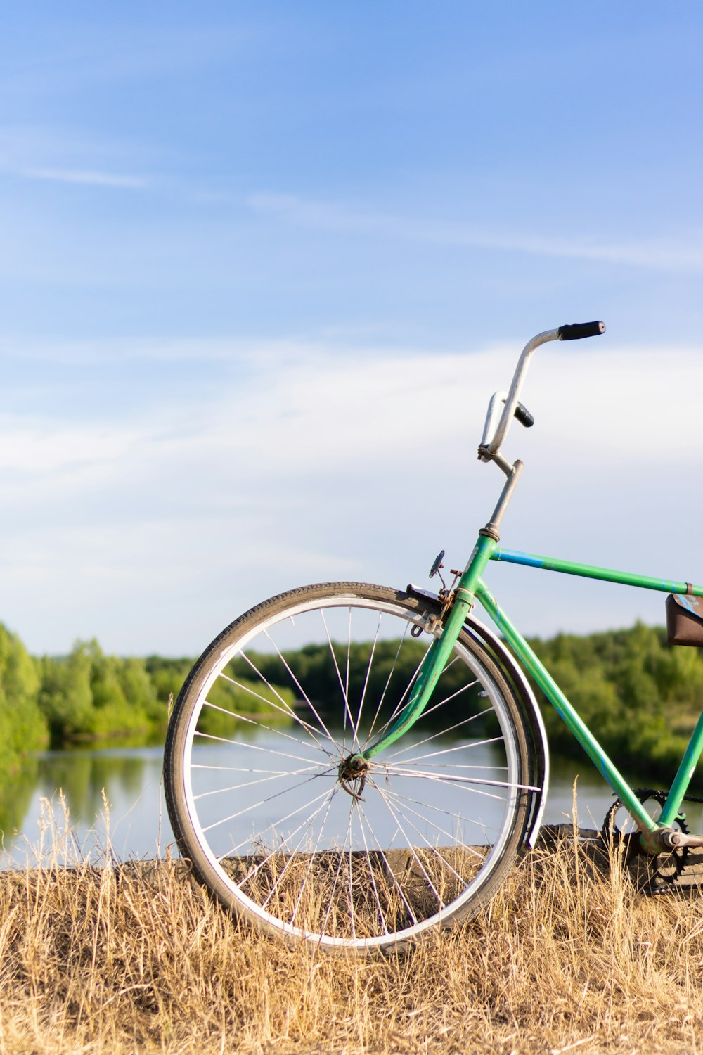 green city bike on brown grass field during daytime