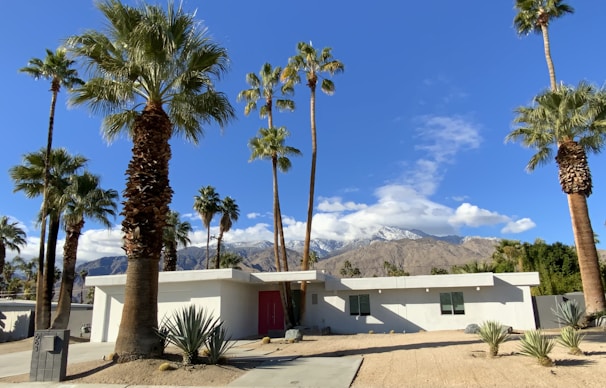 Exterior view of a newly built luxury custom home framed by desert landscaping and clear blue skies
