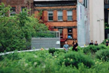 A group enjoying a lively plant walk surrounded by lush greenery and blooming herbs.
