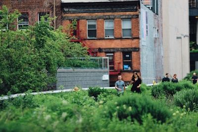 A group of people walking in a park surrounded by greenery.