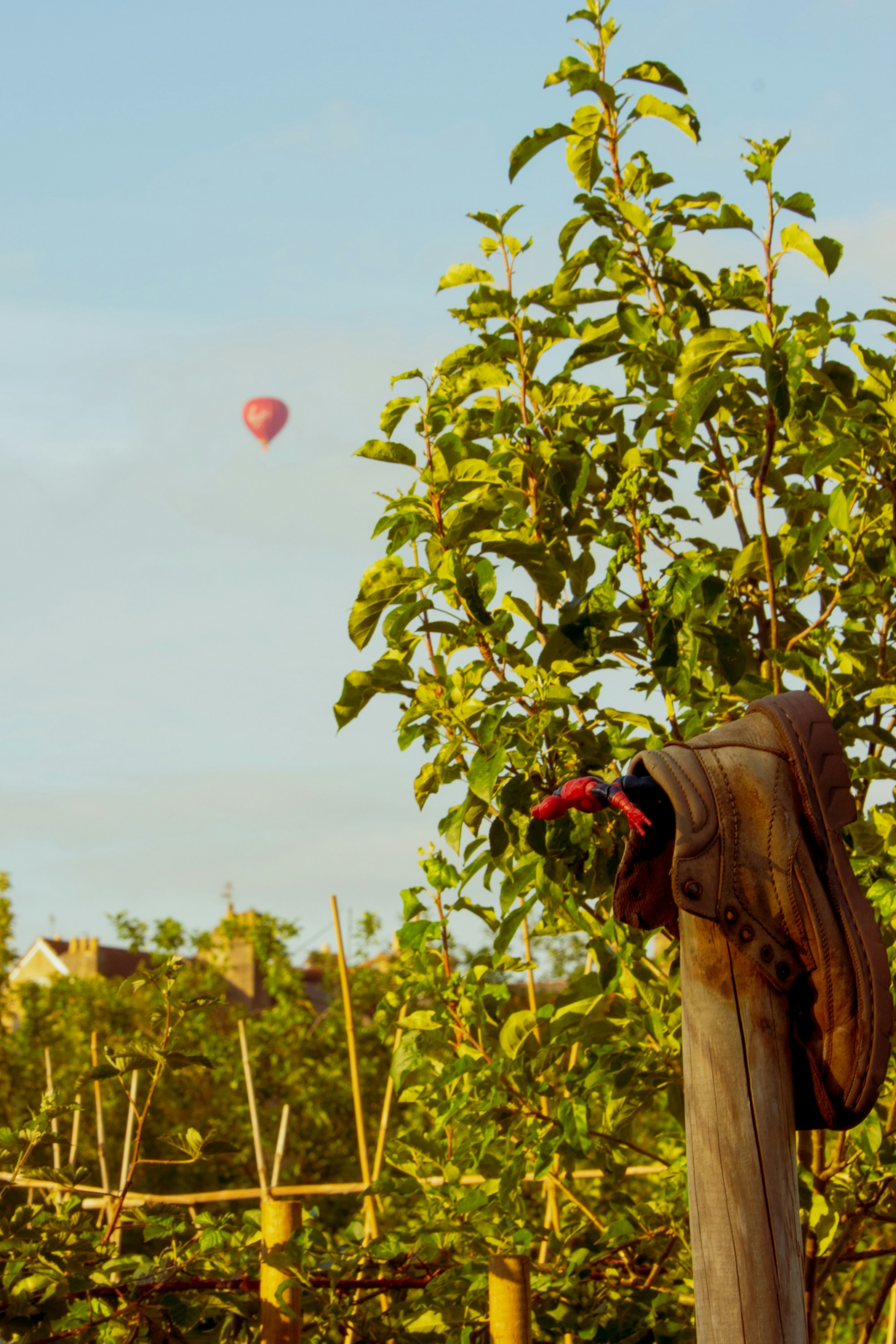 Opting out of infinite growth