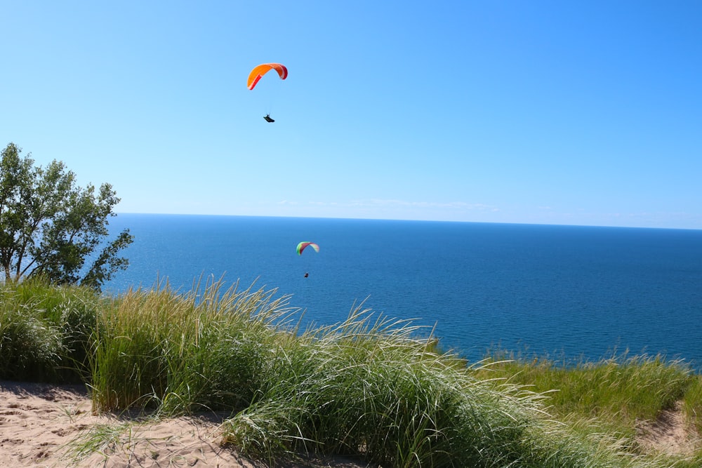 people in orange parachute over blue sea during daytime