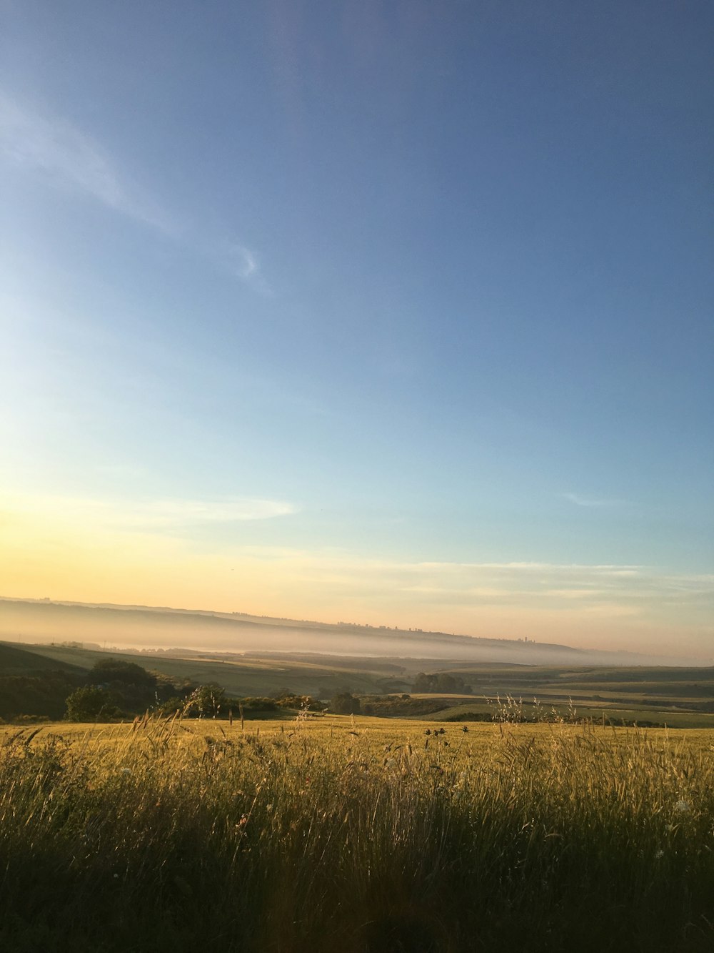 Grünes Grasfeld unter blauem Himmel tagsüber