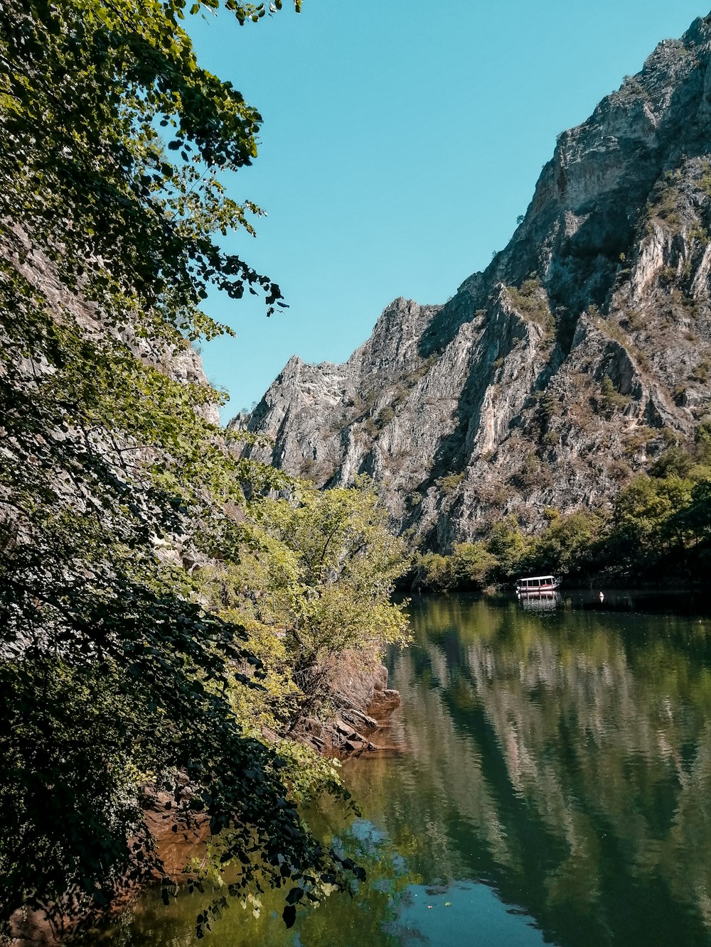 árvores verdes ao lado do lago durante o dia