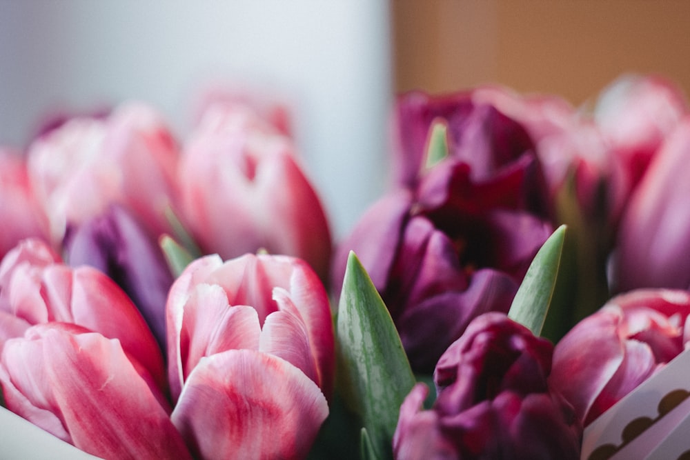 a close up of a bunch of flowers in a vase