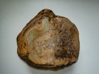 A roughly textured, irregularly shaped stone with a mix of cream, brown, and dark brown colors. The surface appears worn and slightly glossy in some areas, suggesting partial mineral crystallization.