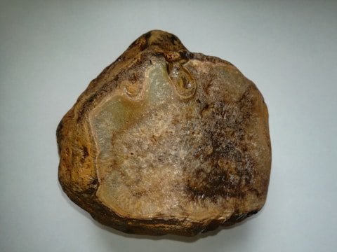 A roughly textured, irregularly shaped stone with a mix of cream, brown, and dark brown colors. The surface appears worn and slightly glossy in some areas, suggesting partial mineral crystallization.