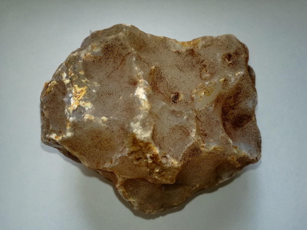 brown and white stone on white surface