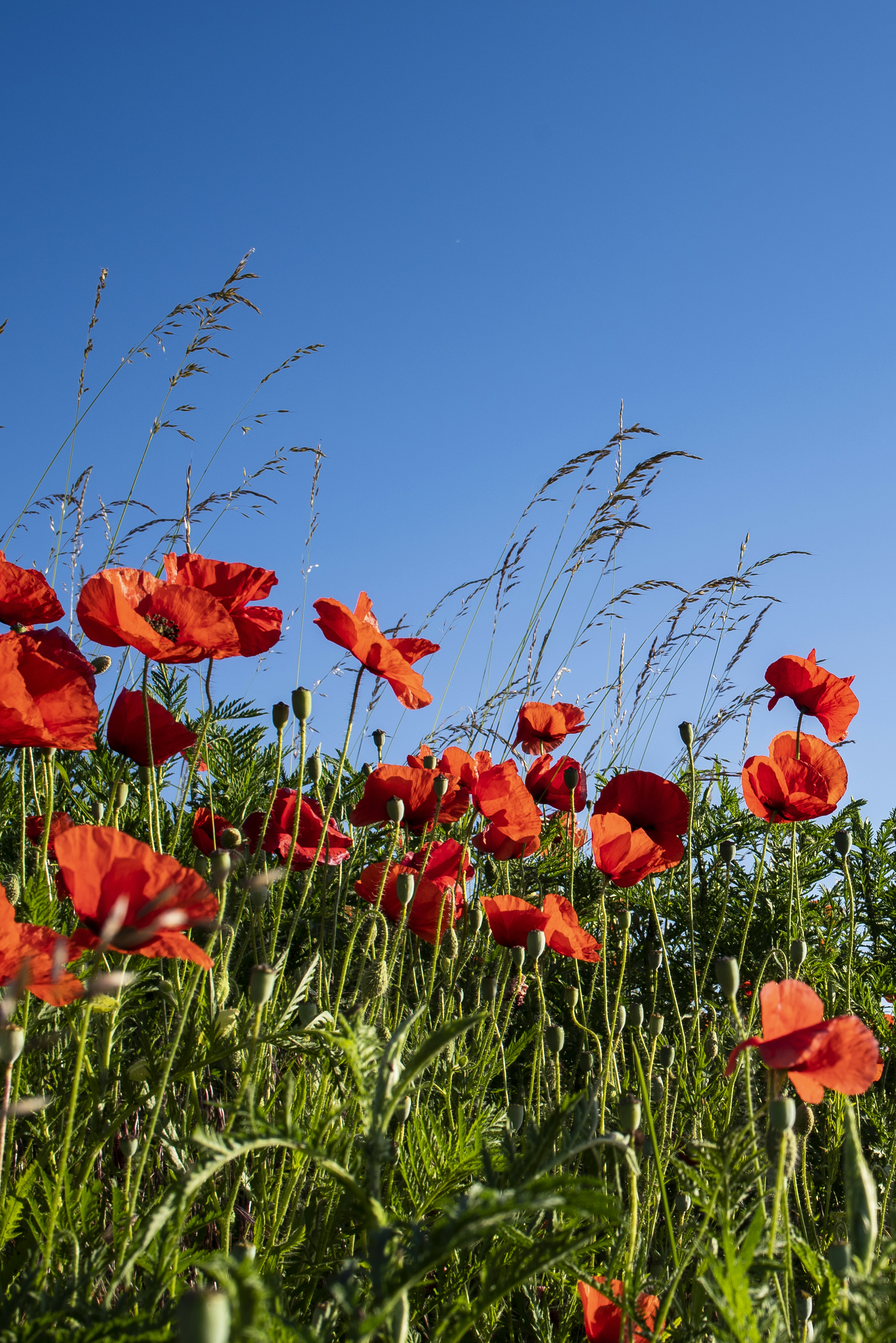 Photo by switch_dtp_fotografie