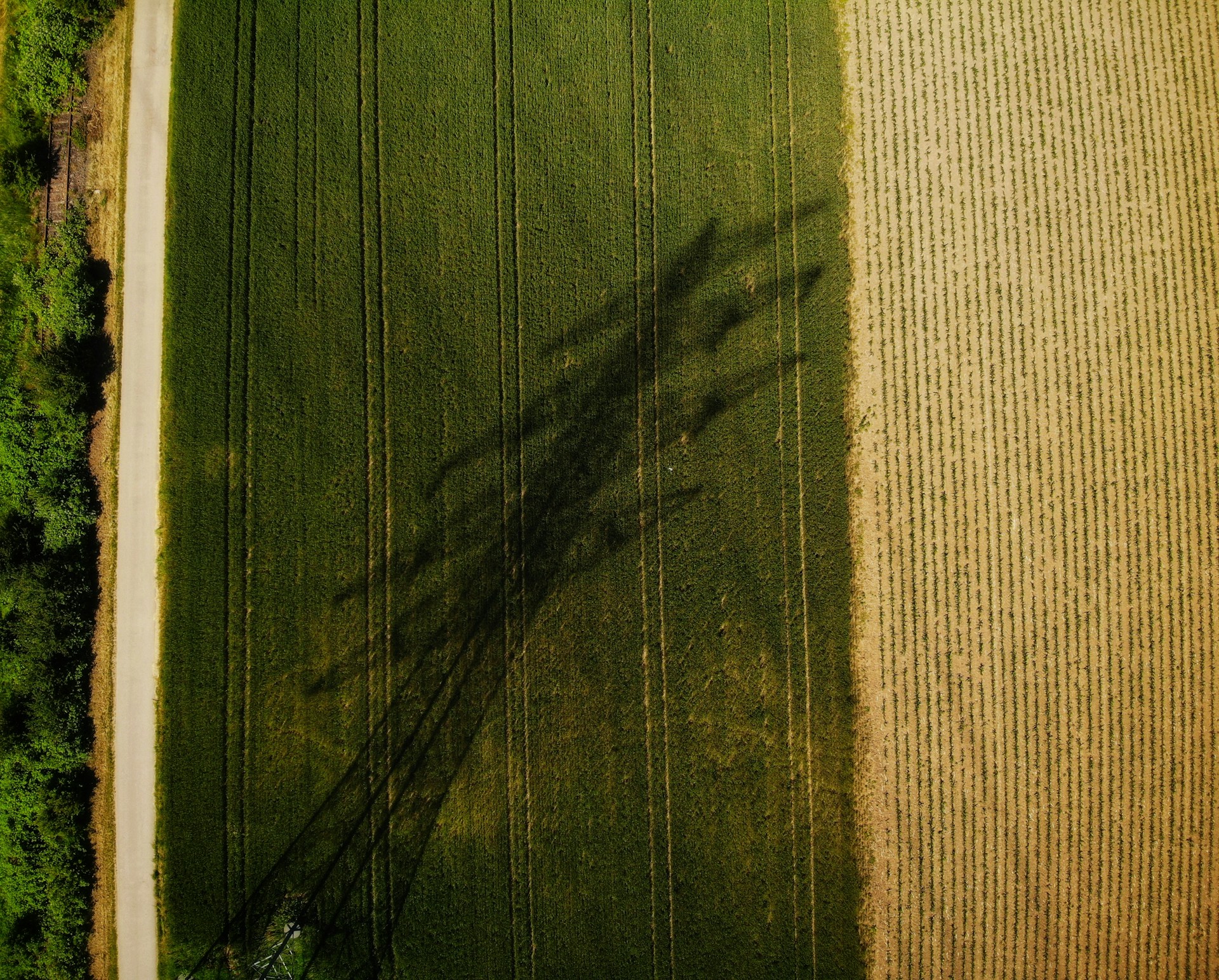 gray computer monitor