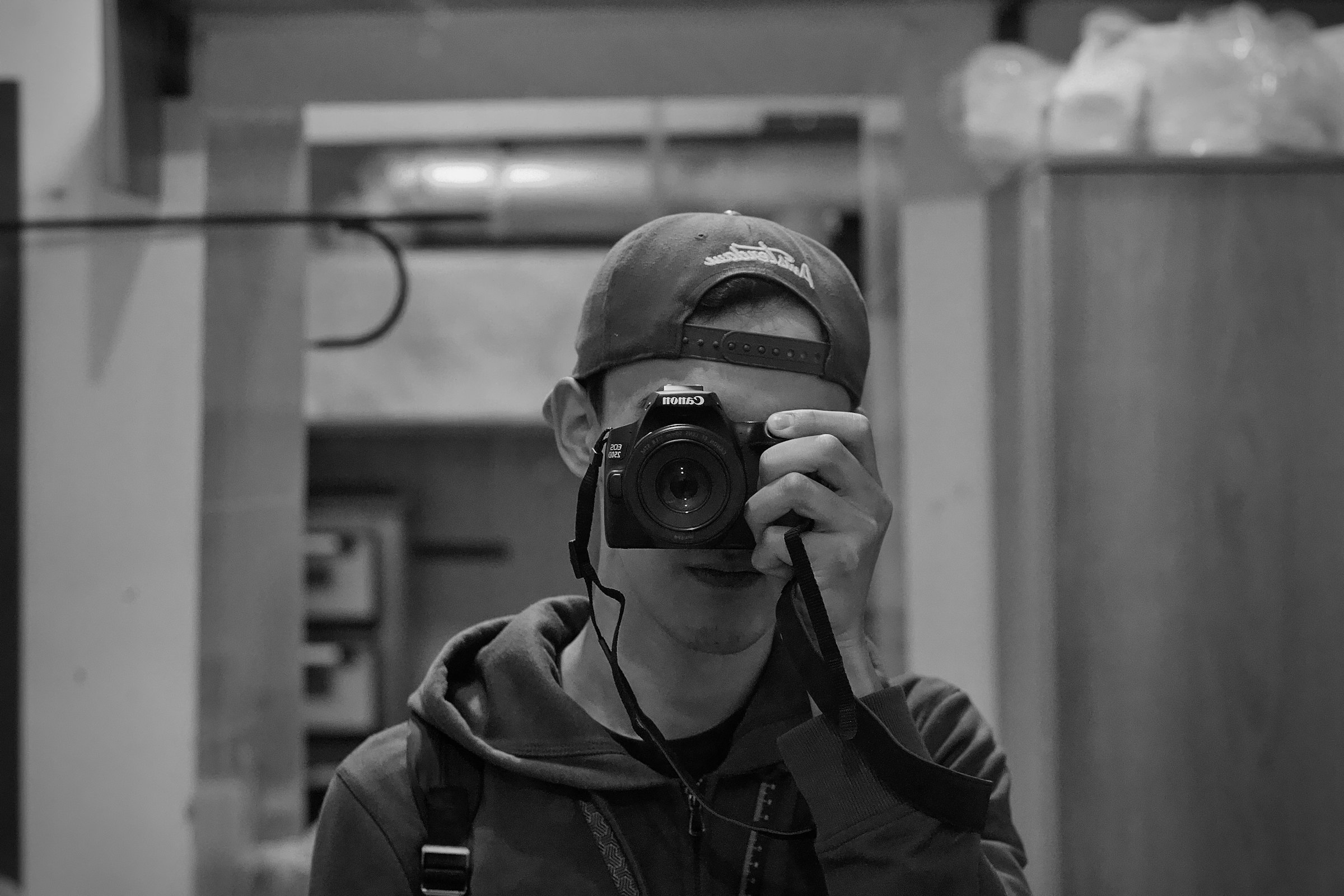 美しい日本庭園の風景