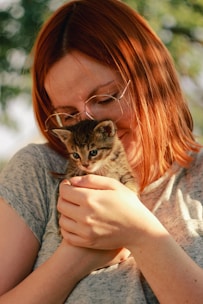 A volunteer gently holding a rescued cat in a cozy shelter room filled with sunlight.