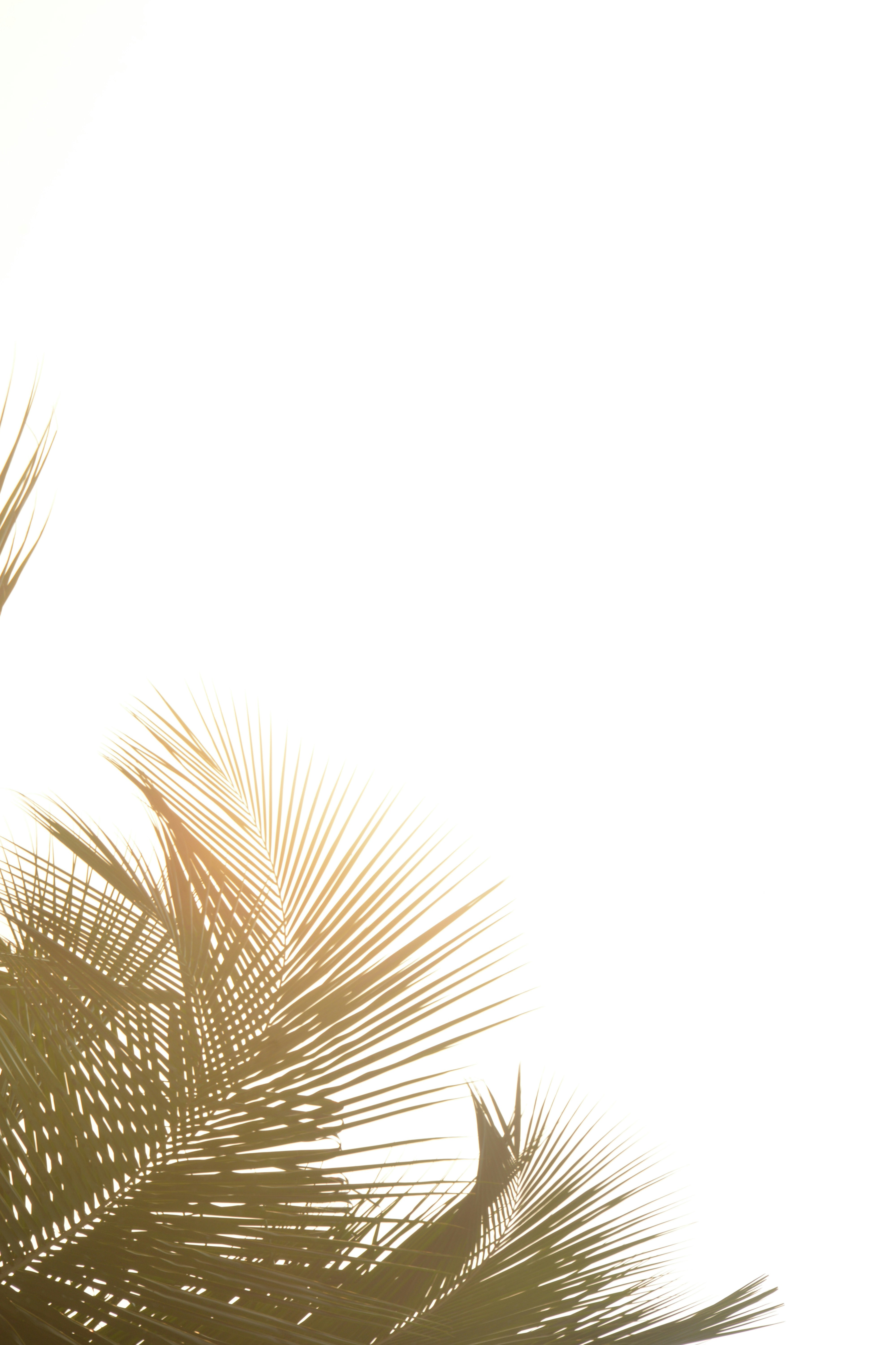 Photo by sanjanshetty