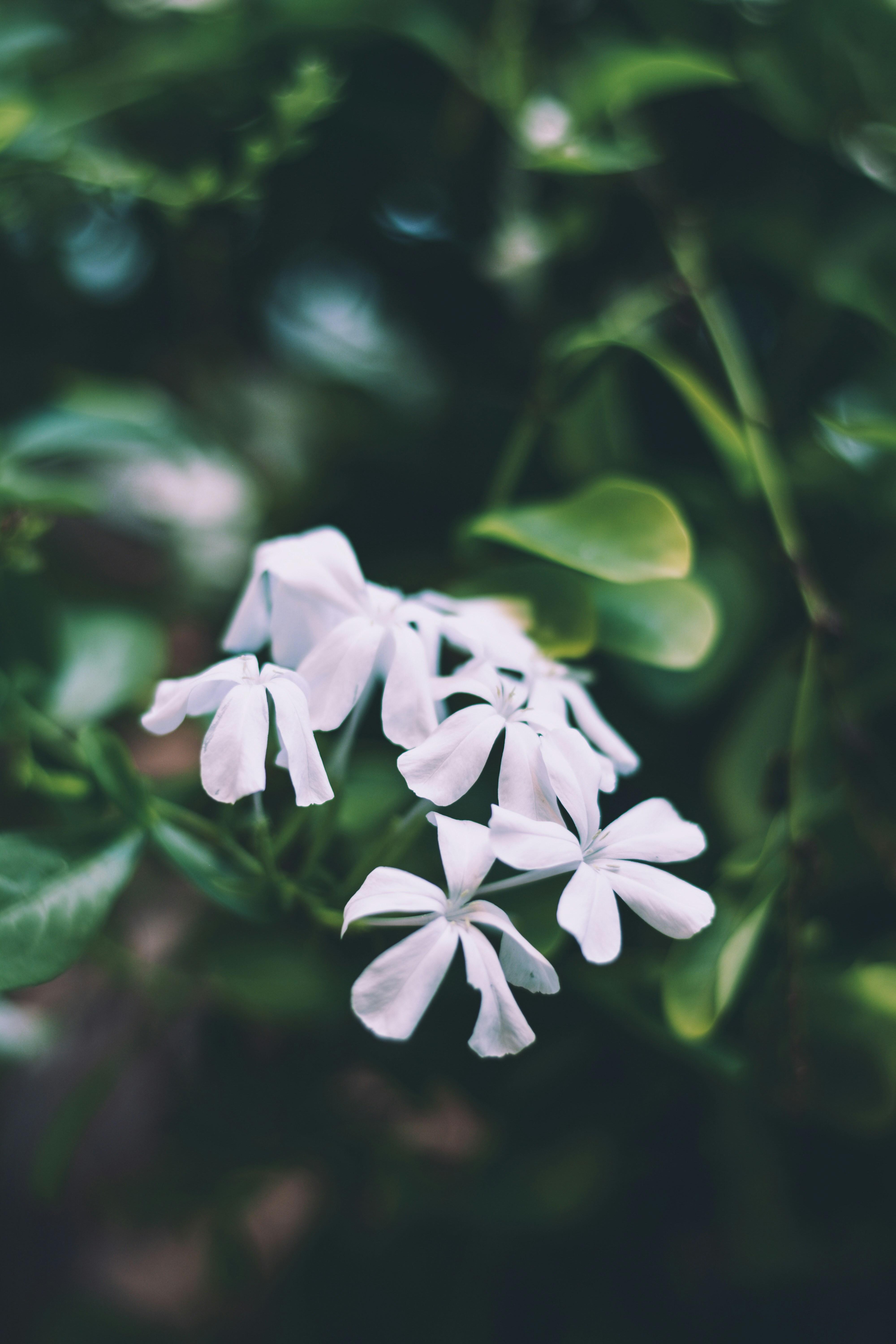 Photo by sanjanshetty