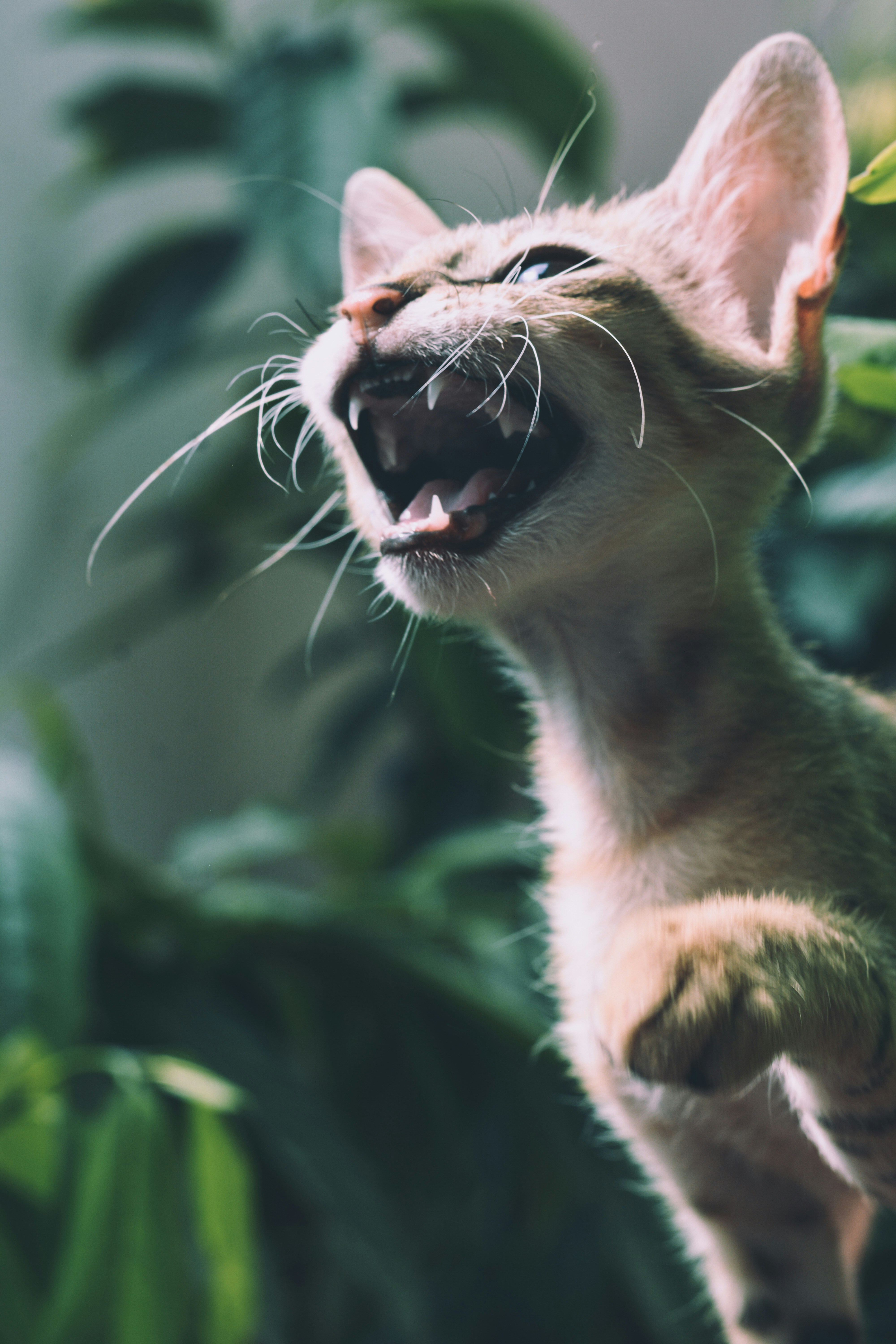 Photo by sanjanshetty