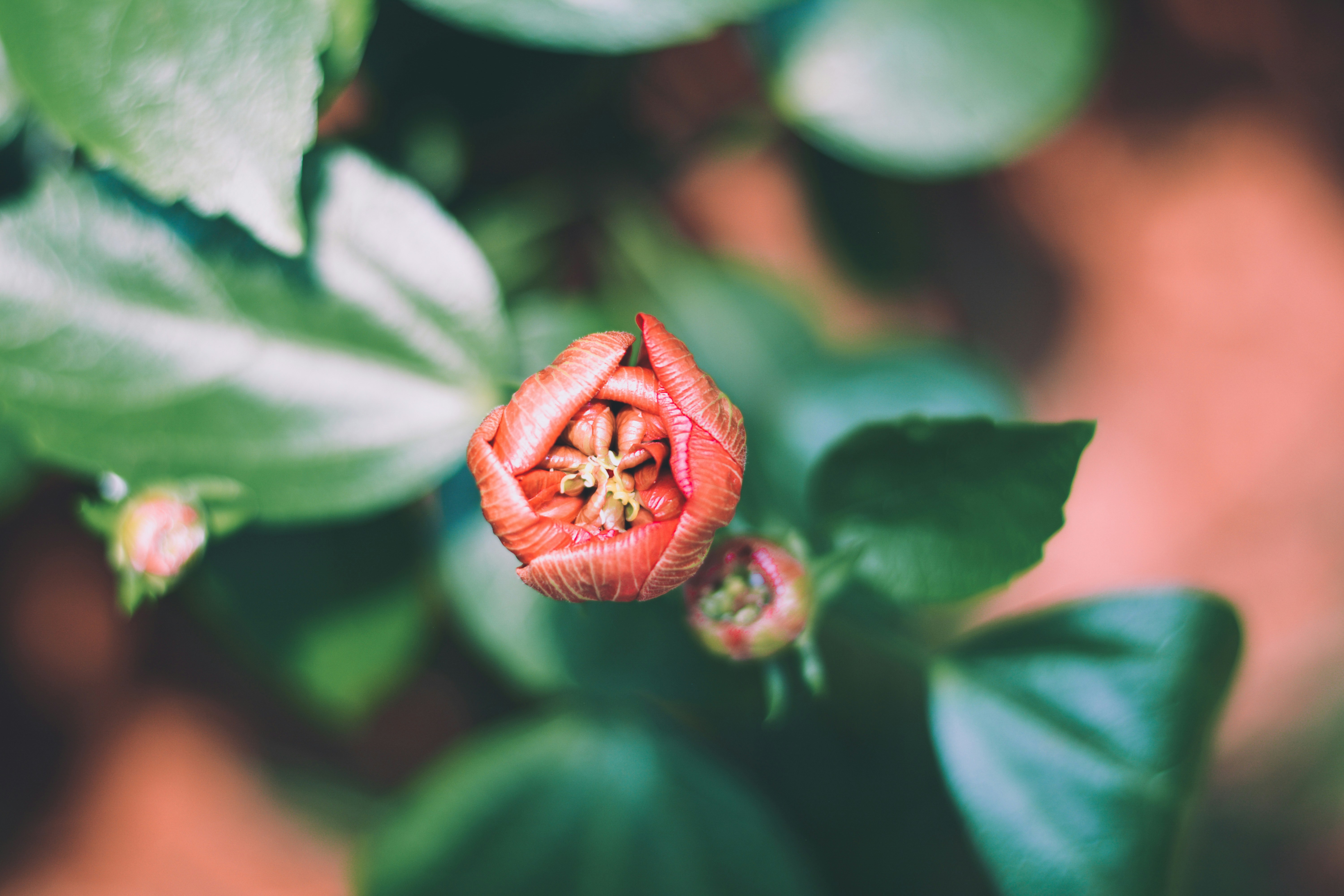 Photo by sanjanshetty